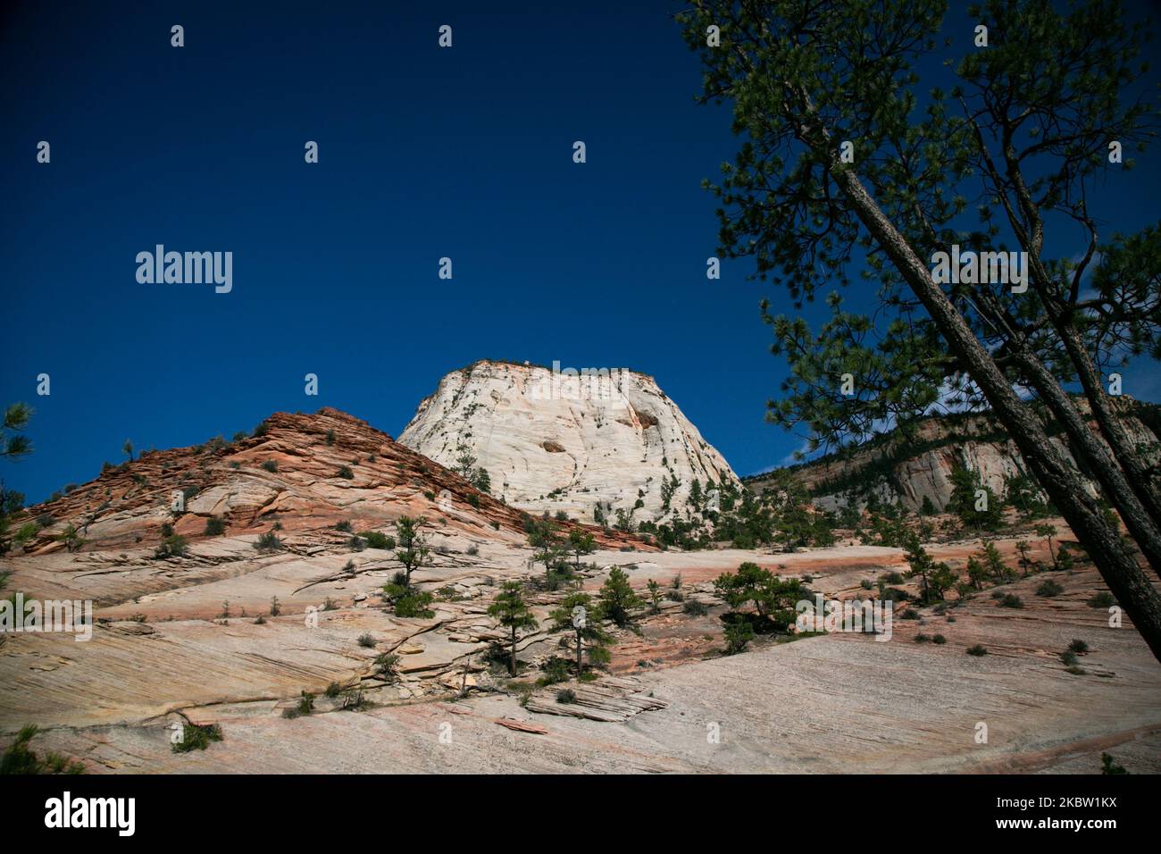 Zion National Park, Utah US, il 9 luglio 2020. (Foto di Karla Ann Cote/NurPhoto) Foto Stock