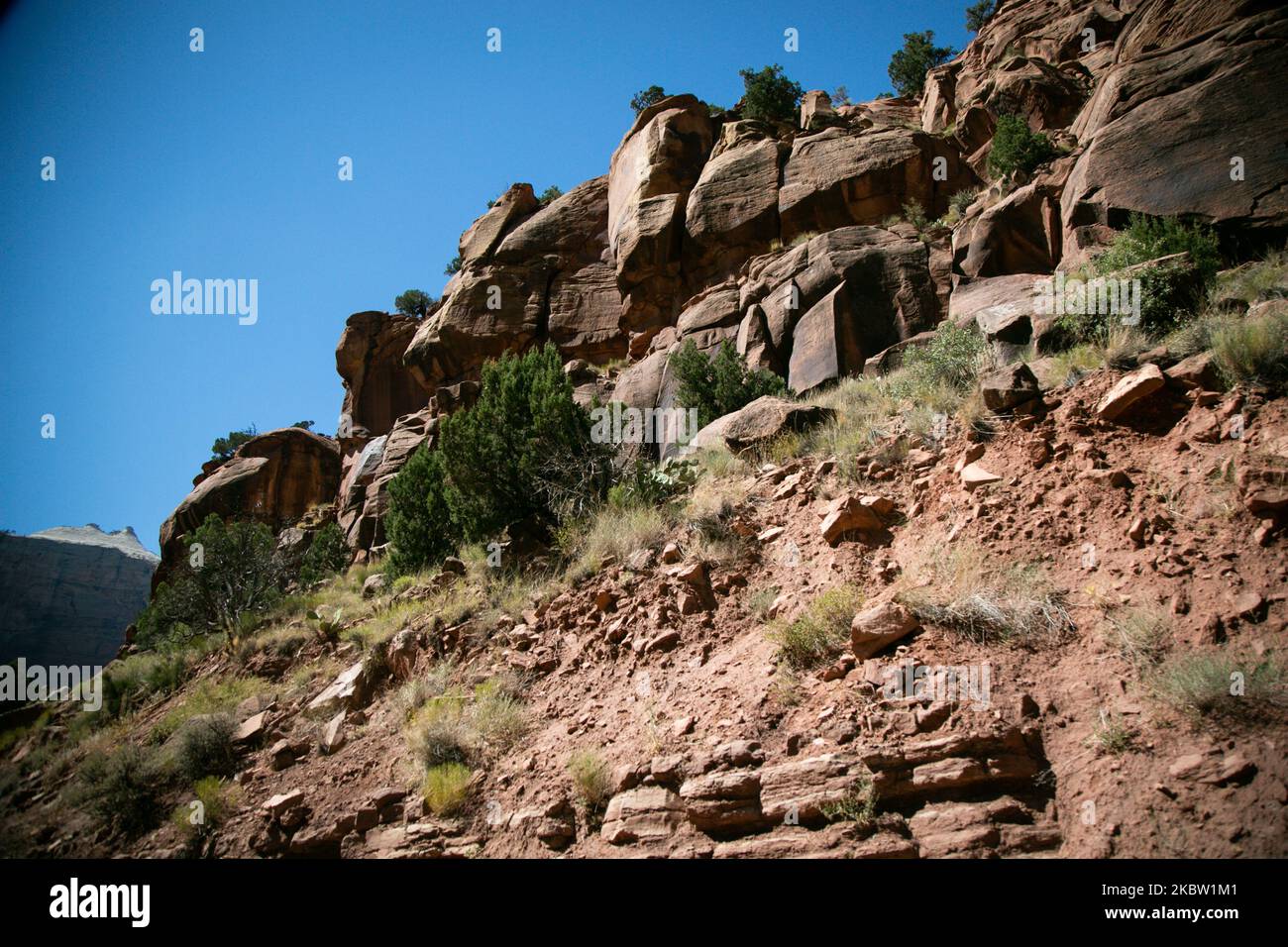 Zion National Park, Utah US, il 9 luglio 2020. (Foto di Karla Ann Cote/NurPhoto) Foto Stock