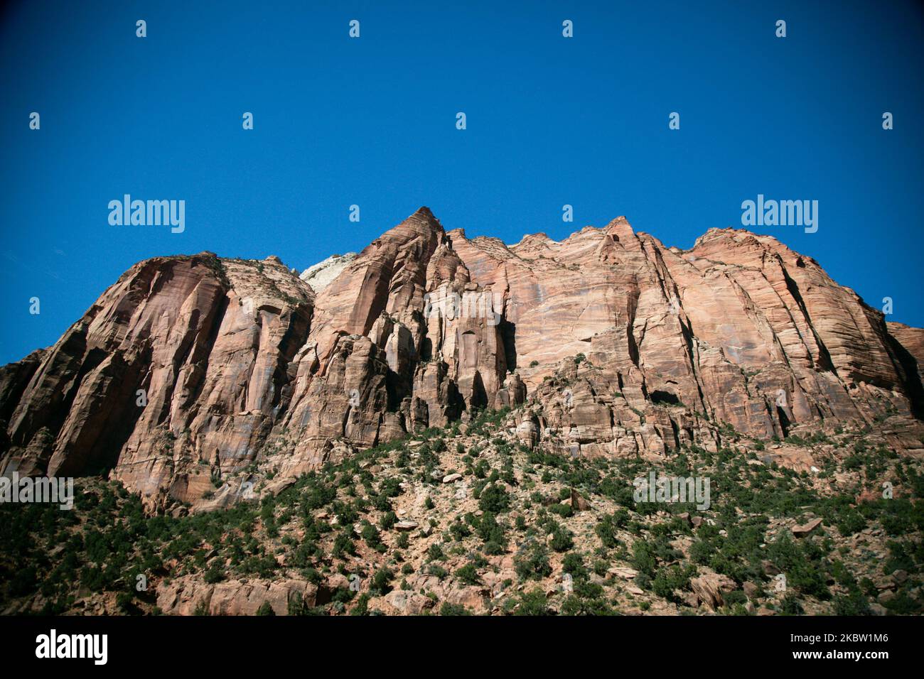 Zion National Park, Utah US, il 9 luglio 2020. (Foto di Karla Ann Cote/NurPhoto) Foto Stock