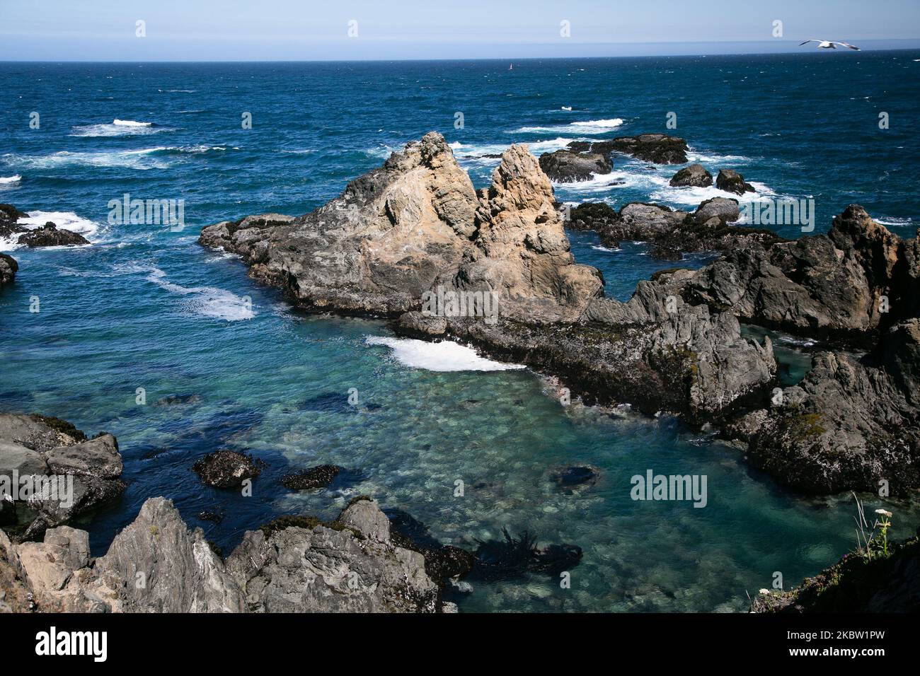 Mendocino Headlands state Park (California) US, il 2 luglio 2020. (Foto di Karla Ann Cote/NurPhoto) Foto Stock