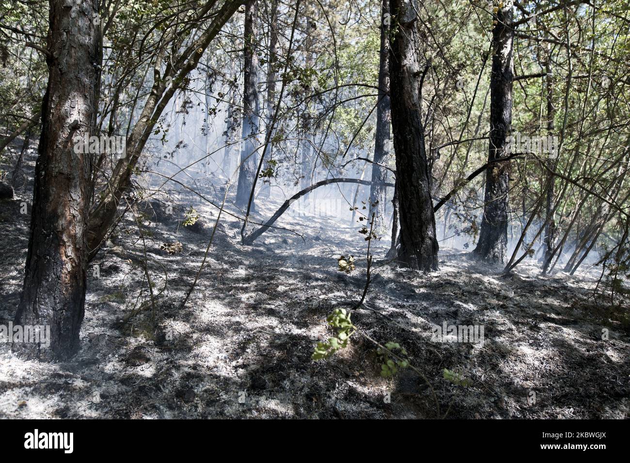 Un grande incendio, il secondo in due giorni, brucia sulle montagne dell'Aquila il 31 luglio 2020. (Foto di Andrea Mancini/NurPhoto) Foto Stock