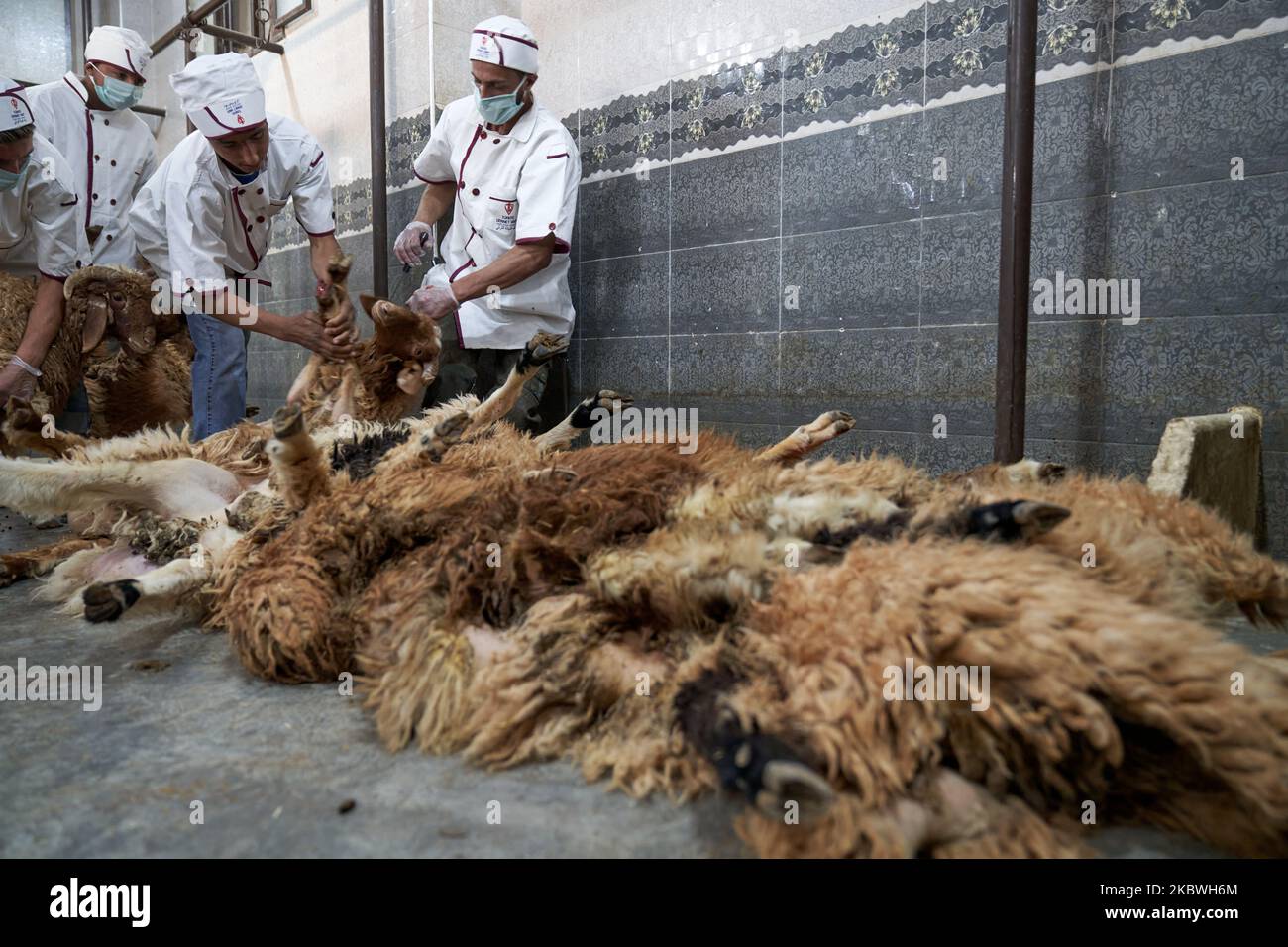 (NOTA DELL'EDITORE: L'immagine contiene contenuti grafici). I macellai della fondazione Turkiye Dyanet hanno tagliato la carne di pecora appena macellata per le celebrazioni di Eid al-Adha, anche conosciuta come la Festa del sacrificio nella provincia di Idlib il 31 luglio 2020 (Foto di Karam Almasri/NurPhoto) Foto Stock