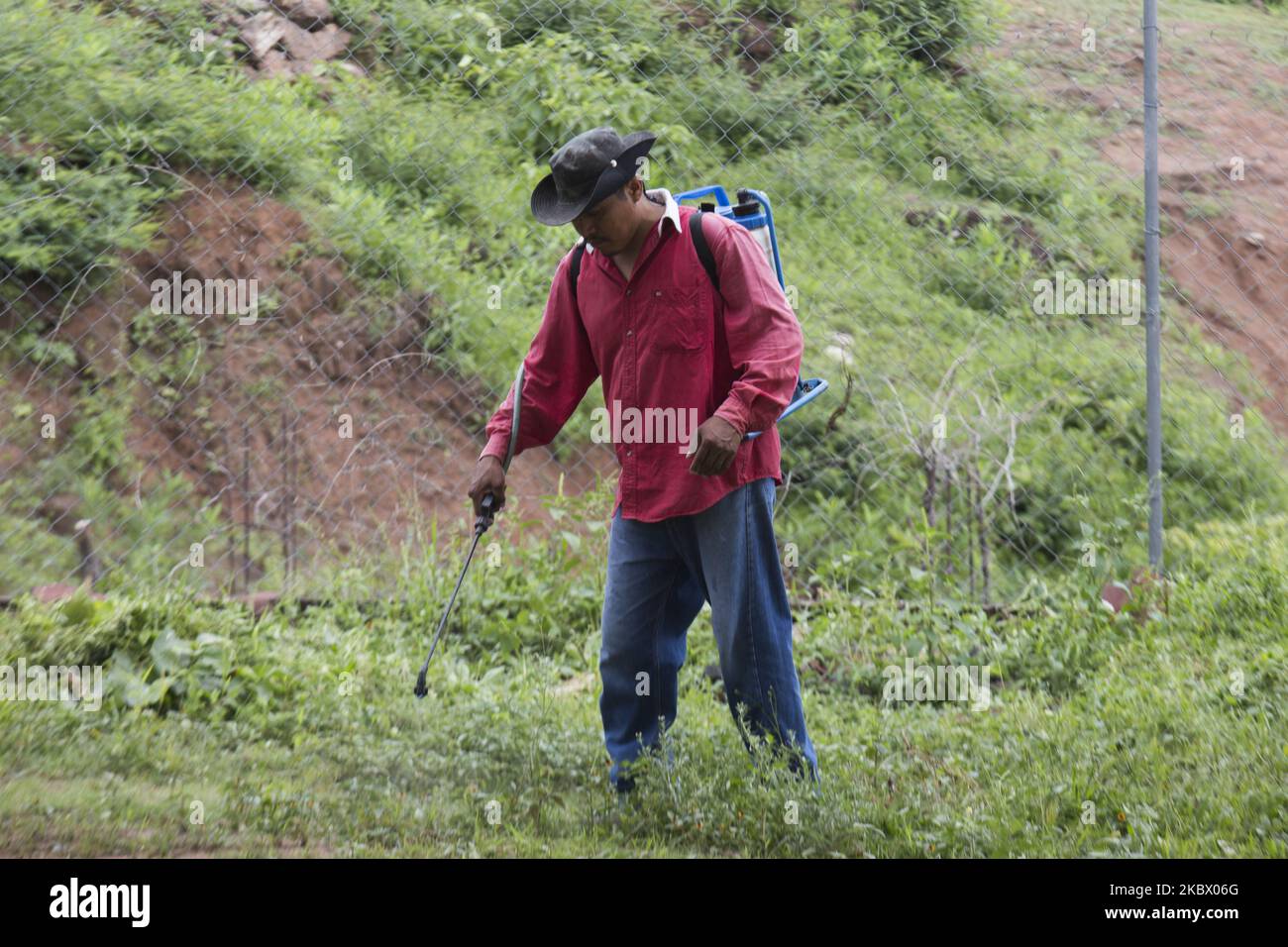 Zona indigena nahua immagini e fotografie stock ad alta risoluzione Alamy