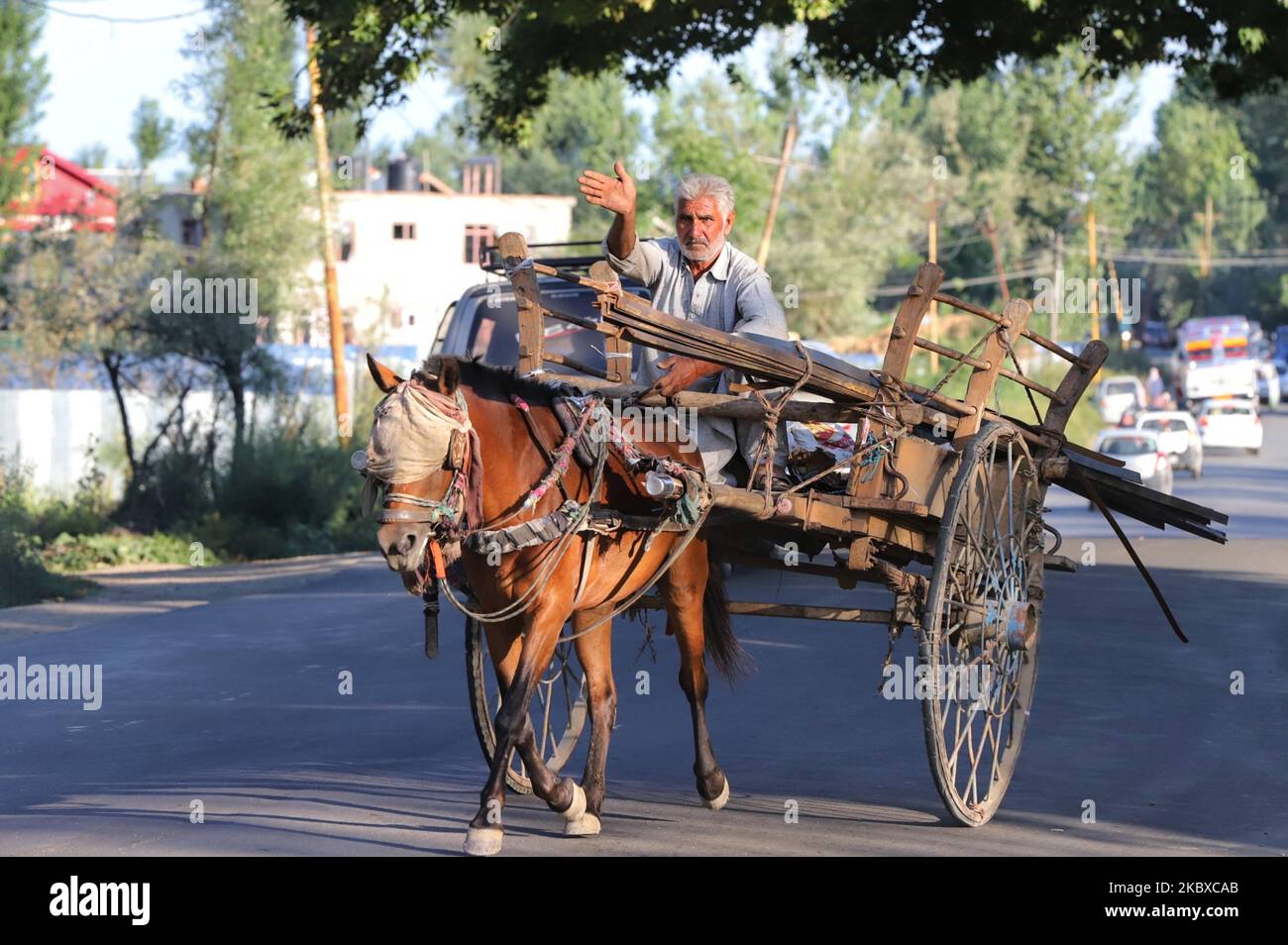 Un uomo trasporta materiale da costruzione su un carretto a cavallo nella città di Sopore del distretto di Baramulla, Jammu e Kashmir, India il 21 agosto 2020, circa 55 km dalla città di Srinagar, la capitale estiva del Kashmir controllato dagli indiani (Foto di Nasir Kachroo/NurPhoto) Foto Stock