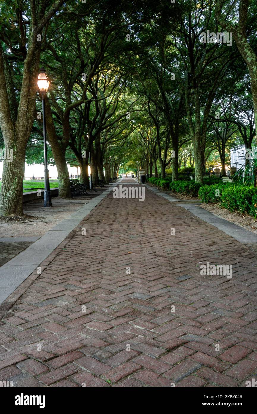 Un sentiero in pietra con alberi nel Joe Riley Waterfront Park, Charleston, tiro verticale Foto Stock
