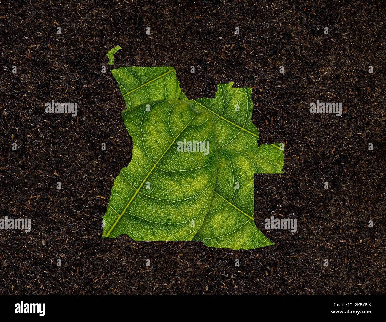 Una rappresentazione 3D della mappa dell'Angola fatta di foglie verdi su uno sfondo di suolo Foto Stock