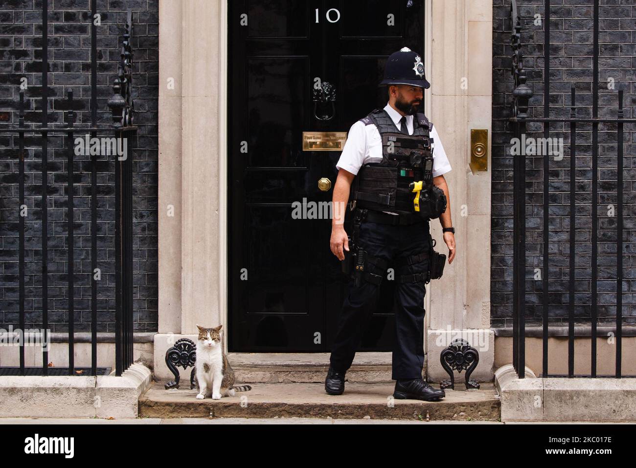 Il gatto residente Larry siede accanto a un ufficiale di polizia fuori 10 Downing Street a Londra, Inghilterra, il 16 settembre 2020. (Foto di David Cliff/NurPhoto) Foto Stock