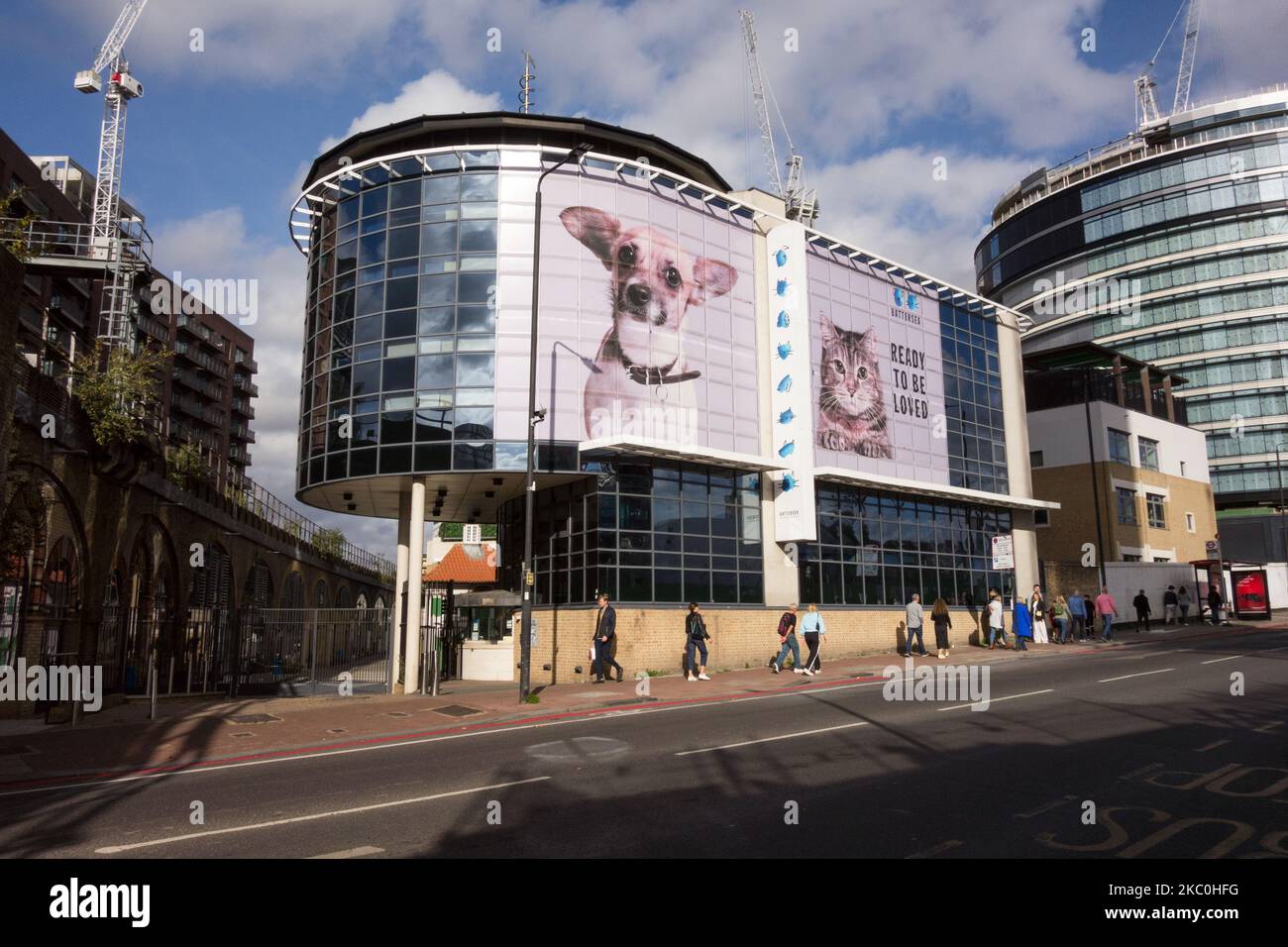 Battersea Dogs & Cats Home, Battersea Park Road, Londra, SW8, Inghilterra, REGNO UNITO Foto Stock