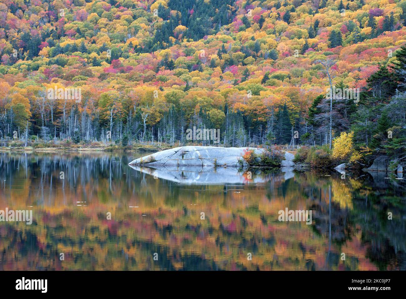 Tranquilla scena autunnale a kinsman Notch, New Hampshire. Riflesso di un vivace fogliame autunnale e di un enorme masso sulla superficie tranquilla del panoramico Beaver Pond. Foto Stock