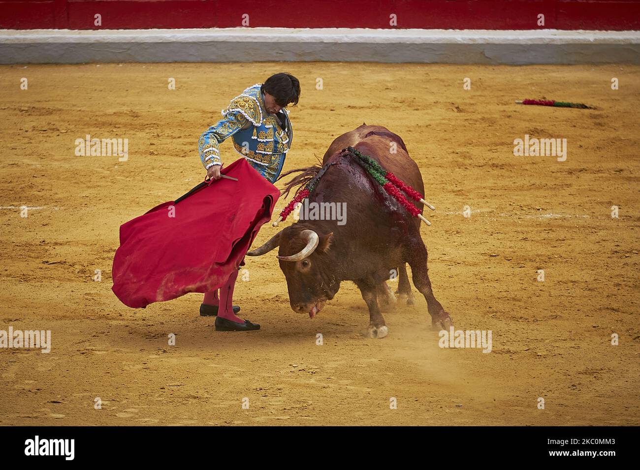 Il batterista spagnolo Curro Diaz esegue un pass con 'capote' su un toro durante il Virgen de las Angustias Bullfighting Festival presso l'arena Monumental de Frascuelo il 26 settembre 2020 a Granada, Spagna. (Foto di Fermin Rodriguez/NurPhoto) Foto Stock