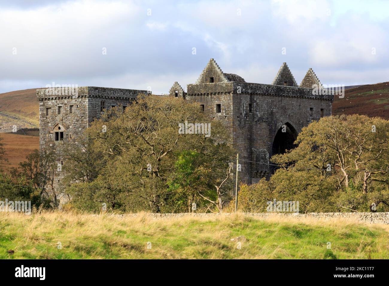 Vista sulle fattorie verso le rovine del castello di Hermitage Scozia Foto Stock