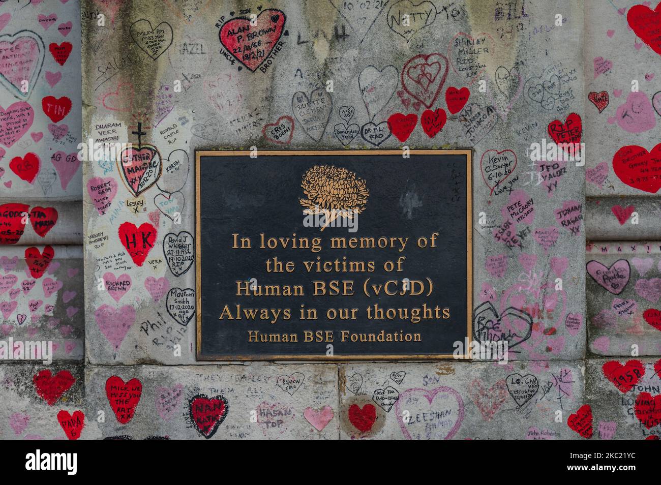 Londra, Regno Unito. 4th Nov 2022. Il National Covid Memorial Wall rimane un punto di interesse per le famiglie delle vittime e ora include una targa per le vittime della BSE. I cuori sono per tutti coloro che sono morti durante la pandemia di Coronavirus. Credit: Guy Bell/Alamy Live News Foto Stock