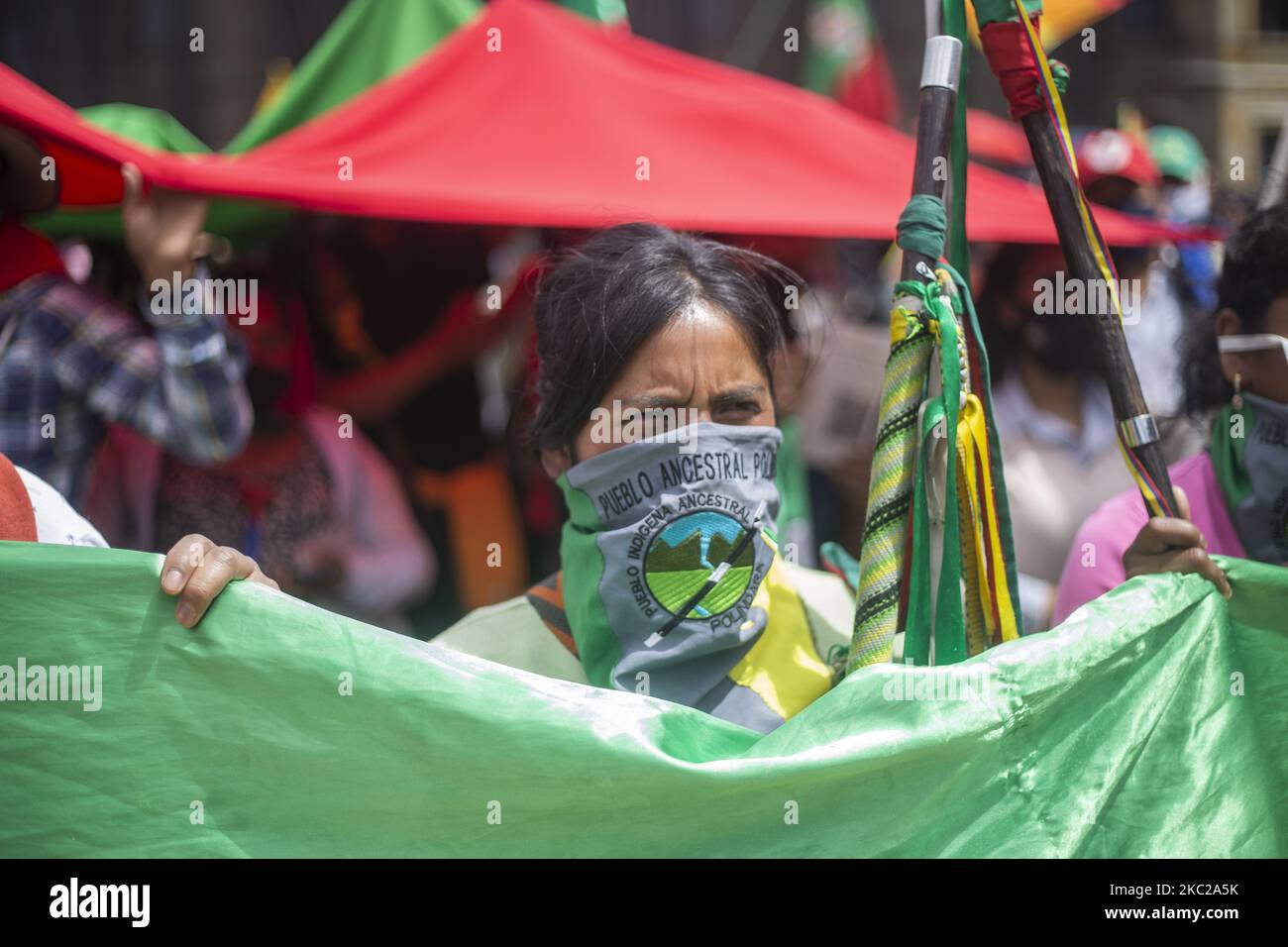 Una donna indigena protesta contro il governo nazionale e respinge i massacri e l'assassinio di leader sociali a Bogotà, Colombia, il 21 ottobre 2020. (Foto di Daniel Garzon Herazo/NurPhoto) Foto Stock