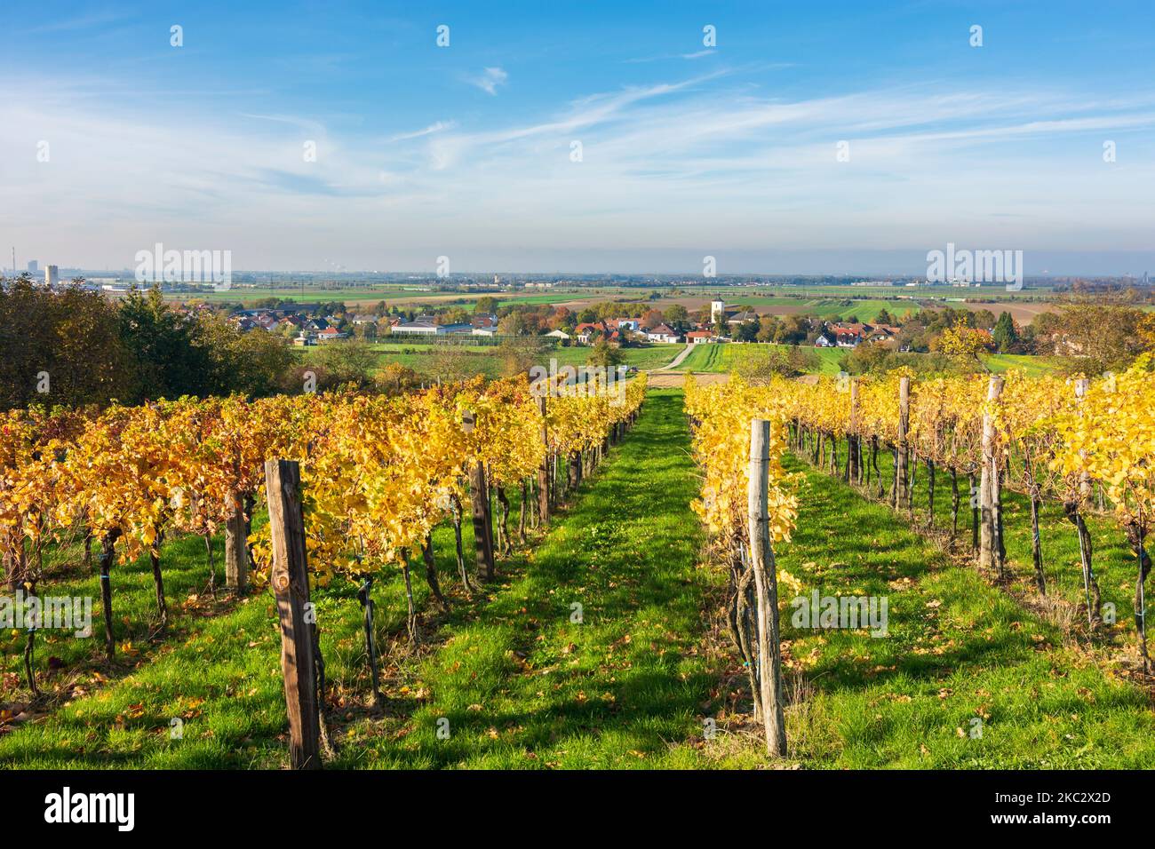 Judenau-Baumgarten: Vigneto, vista di Baumgarten a Wienerwald, boschi di Vienna, Niederösterreich, bassa Austria, Austria Foto Stock