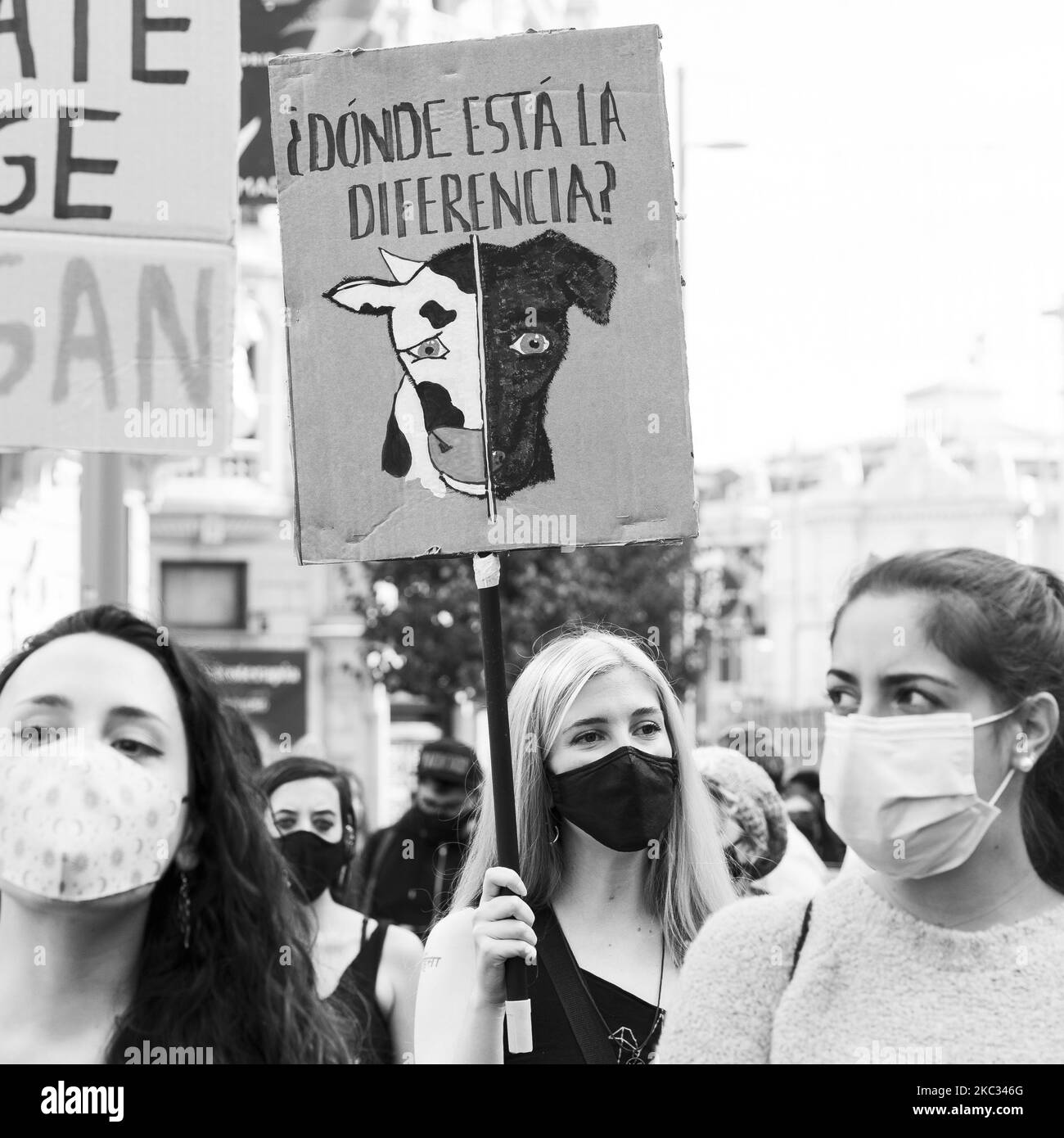 (NOTA DELL'EDITORE: L'immagine è stata convertita in bianco e nero) manifestanti durante una protesta a sostegno dei diritti degli animali a Madrid, Spagna, il 01 novembre 2020. (Foto di Oscar Gonzalez/NurPhoto) Foto Stock