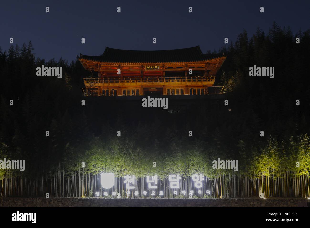 Nov 4, 2020-Sacheon, Korera Sud-A Vista notturna della Corea del Sud più grande foresta di bambù, nome di 'Jungnogwon' a Damyang-Gun, Corea del Sud il 2 Nov 2020. Jungnokwon è una foresta di bambù che copre un'area di 31 ettari ed è stato aperto nel marzo 2003 come area ricreativa e attrazione turistica. Nella foresta ci sono otto sentieri da seguire. Direttamente collegato alla foresta è siga-Munhwachon, un villaggio replica dove la cultura storica di Damyang può essere sperimentato. (Foto di Seung-il Ryu/NurPhoto) Foto Stock