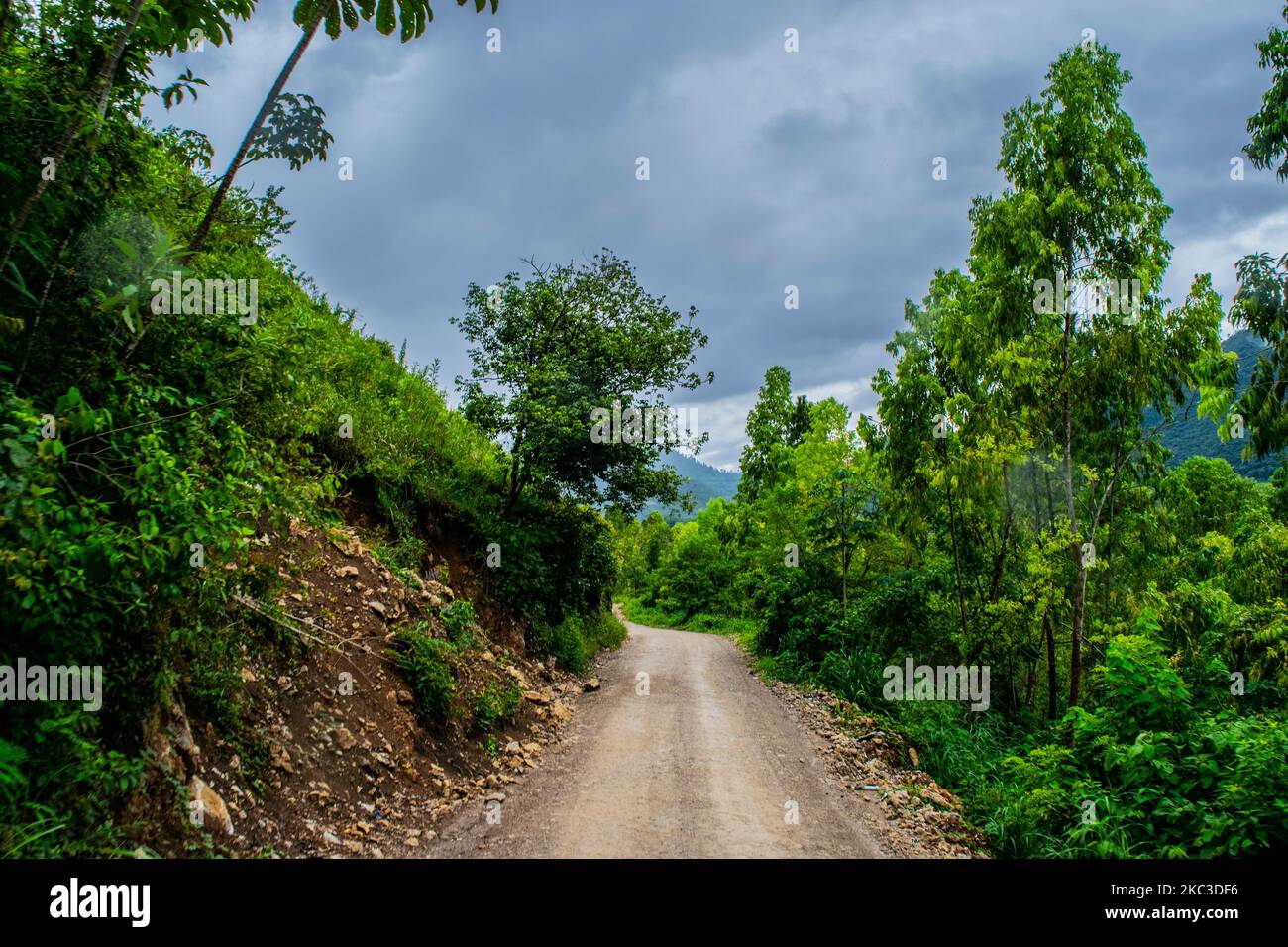 sentiero tra montagne e alberi Foto Stock