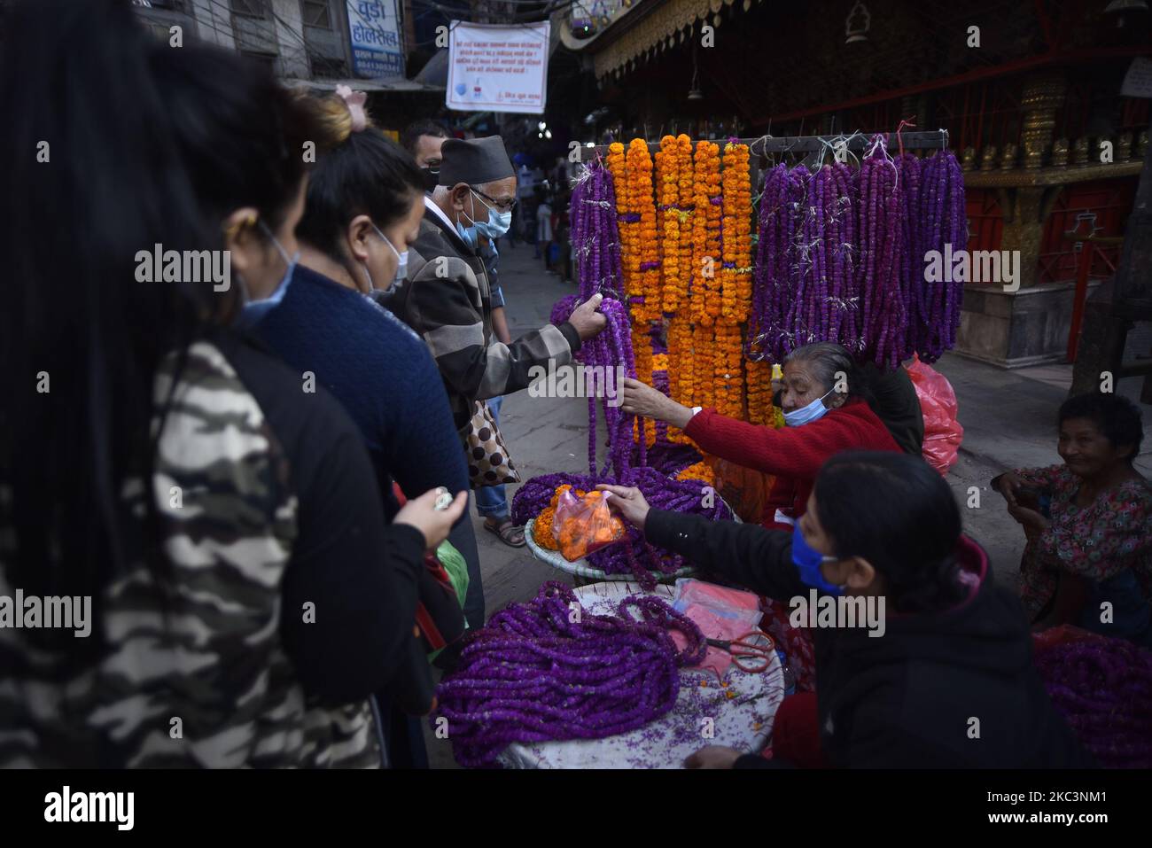 I nepalesi comprano Gomphrena globosa 'fiore di akhmali' dal mercato per la festa di Tihar a Kathmandu, Nepal il 09 novembre 2020. Gomphrena globosa o Globe amaranto (Makhamali) fiori ghirlande sono utilizzati durante Bhai Tika per la loro longevità. (Foto di Narayan Maharjan/NurPhoto) Foto Stock