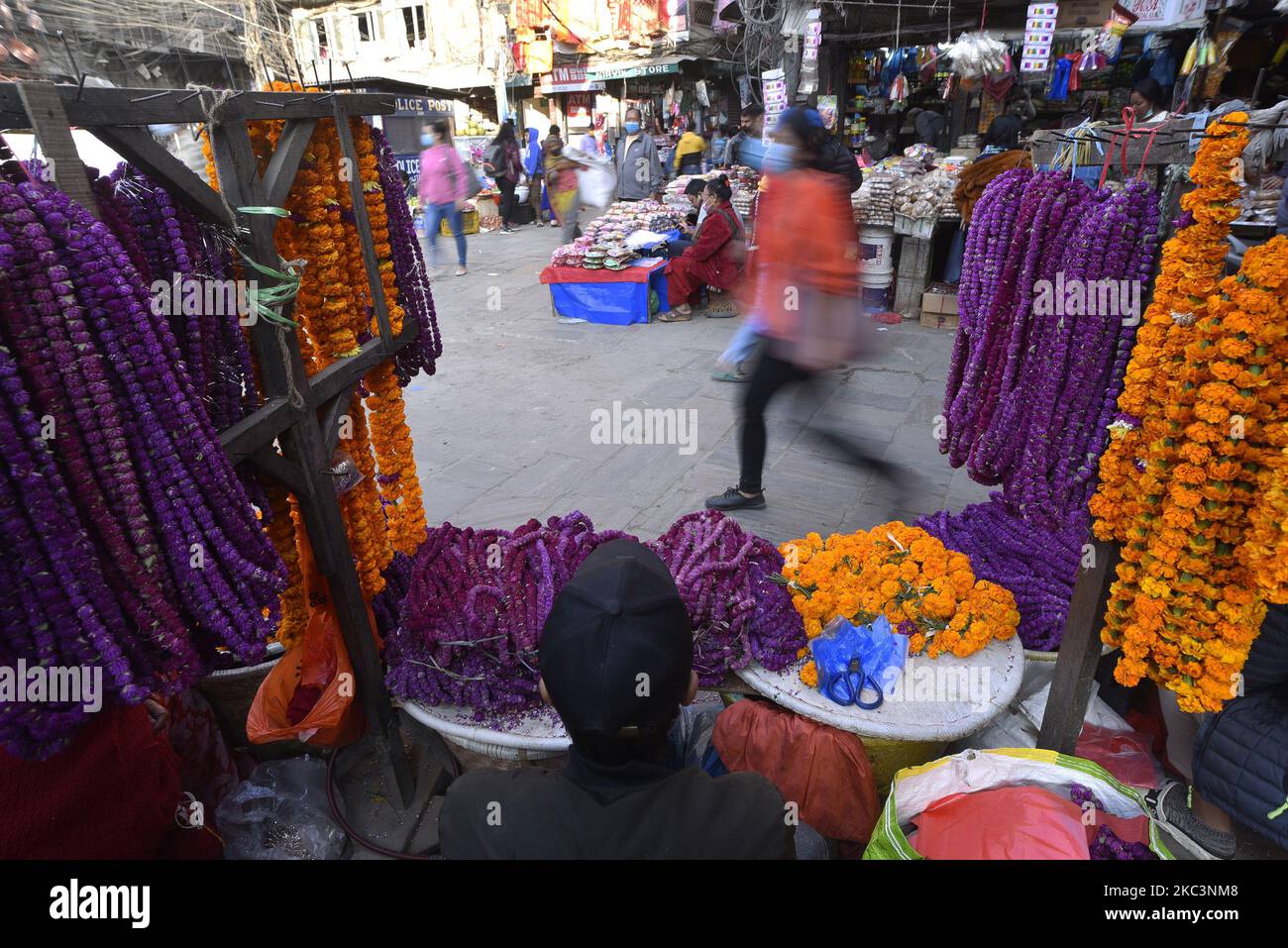Un Venditore che vende Gomphrena globosa 'fiore di akhmali' dal mercato per la celebrazione di festa di Tihar a Kathmandu, Nepal il 09 novembre 2020. Gomphrena globosa o Globe amaranto (Makhamali) fiori ghirlande sono utilizzati durante Bhai Tika per la loro longevità. (Foto di Narayan Maharjan/NurPhoto) Foto Stock