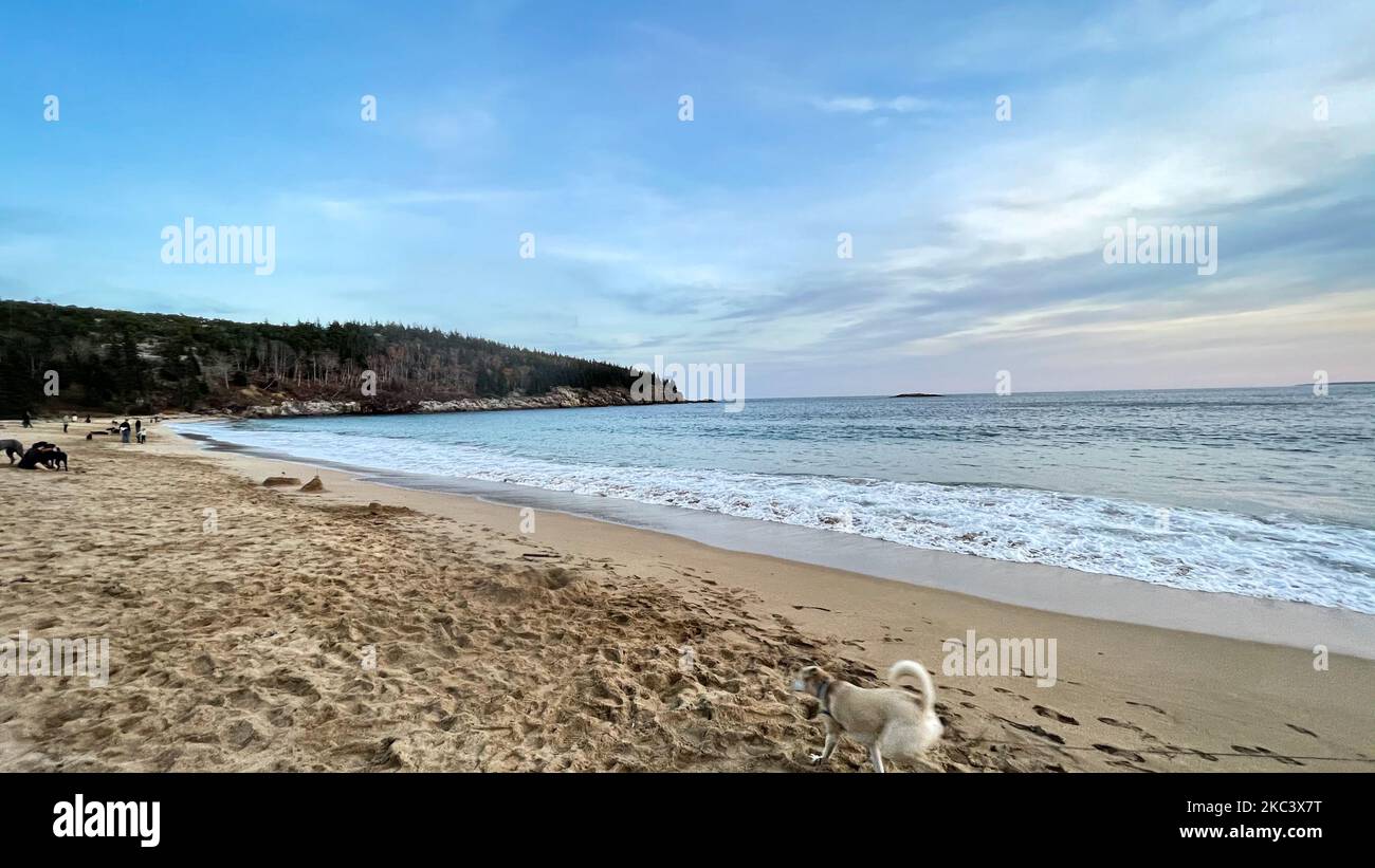 Spiaggia di sabbia a Bar Harbor, Maine (Foto di Karla Ann Cote/NurPhoto) Foto Stock