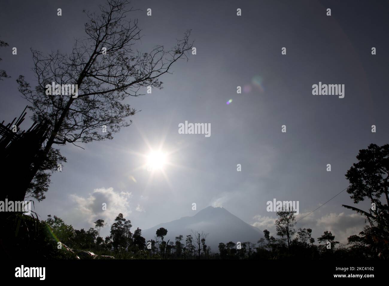 Il vulcano Merapi soffia il fumo bianco sottile dalla vetta durante il suo stato di allerta come visto dai campi degli abitanti del villaggio di Tlogolele, situato sulle pendici del vulcano Merapi, Giava Ovest, il 14 novembre 2020. Anche se sono stati evacuati nel campo di rifugio a causa dello stato di allerta del monte Merapi, alcuni abitanti del villaggio hanno continuato ancora a tornare nei loro campi la mattina, e di nuovo al riparo nel pomeriggio. (Foto di Aditya Irawan/NurPhoto) Foto Stock