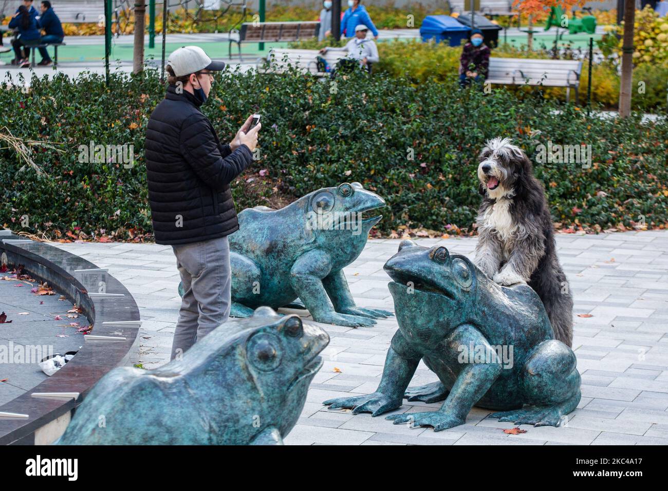 Un uomo pone il suo cane in uno spazio verde del centro di Toronto, 6 novembre 2020. (Foto di Nick Lachance/NurPhoto) Foto Stock