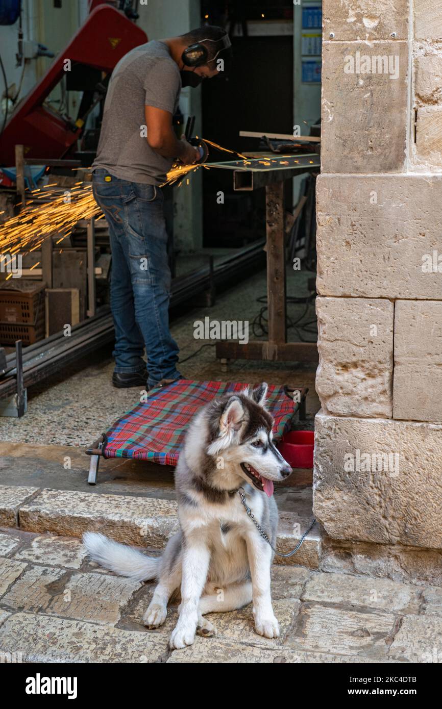 Un artigiano lavora nella sua piccola fabbrica utilizzando una smerigliatrice angolare con scintille che volano mentre il suo cane Husky mantiene la guardia. Foto Stock