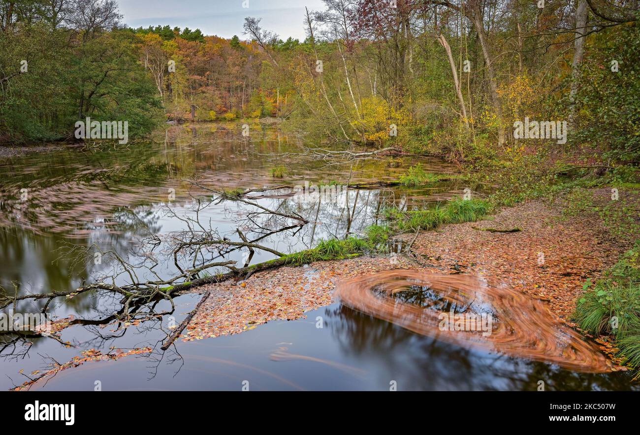 Siehdicum, Germania. 29th Ott 2022. Autunno nel parco naturale Schlaubetal. Una lunga esposizione di 30 secondi rivela il movimento delle foglie colorate sull'acqua della Schlaube. Il Parco Naturale di Schlubetal, fondato alla fine del 1995 nella regione dei laghi e della brughiera del Brandeburgo orientale, si estende su una superficie di 227 chilometri quadrati. La zona era essenzialmente modellata dall'ultima era glaciale. Più di due terzi del parco naturale sono coperti di foresta. Caratteristica dello Schlubetal è l'abbondanza di laghi e catene lacustri modellati dall'età del ghiaccio. Credit: Patrick Pleul/dpa/Alamy Live News Foto Stock