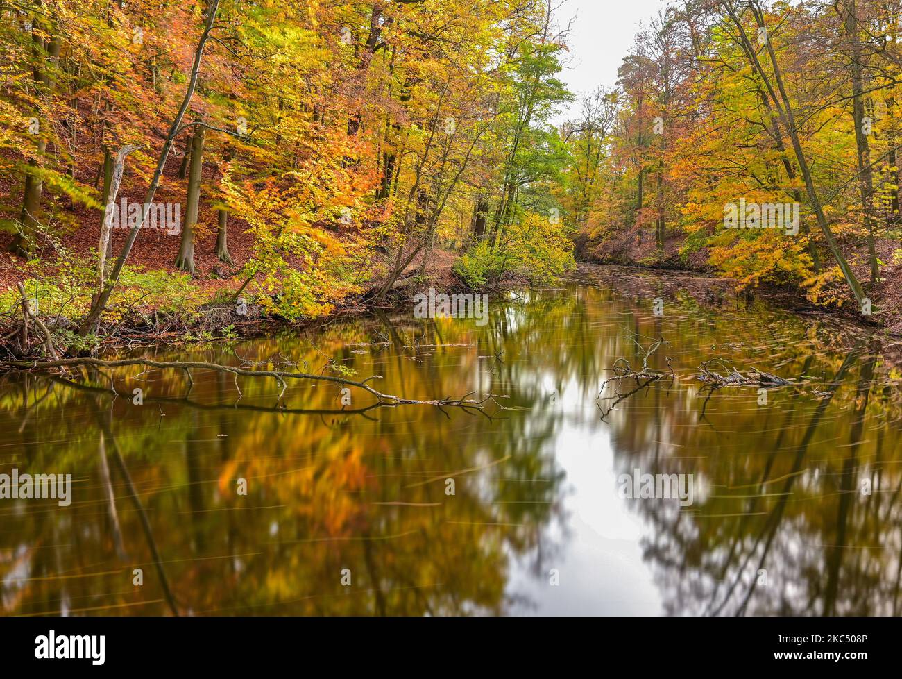 Siehdicum, Germania. 29th Ott 2022. Autunno nel parco naturale Schlaubetal. Una lunga esposizione di 30 secondi rivela il movimento delle foglie colorate sull'acqua della Schlaube. Il Parco Naturale di Schlubetal, fondato alla fine del 1995 nella regione dei laghi e della brughiera del Brandeburgo orientale, si estende su una superficie di 227 chilometri quadrati. La zona era essenzialmente modellata dall'ultima era glaciale. Più di due terzi del parco naturale sono coperti di foresta. Caratteristica dello Schlubetal è l'abbondanza di laghi e catene lacustri modellati dall'età del ghiaccio. Credit: Patrick Pleul/dpa/Alamy Live News Foto Stock