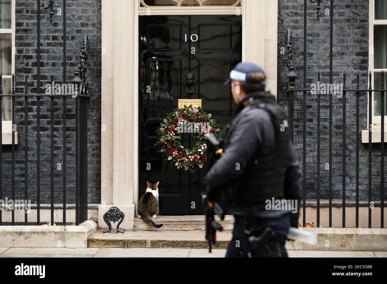 Un ufficiale di polizia passa da come gatto residente Larry aspetta di essere lasciato all'interno di 10 Downing Street a Londra, Inghilterra, il 2 dicembre 2020. (Foto di David Cliff/NurPhoto) Foto Stock