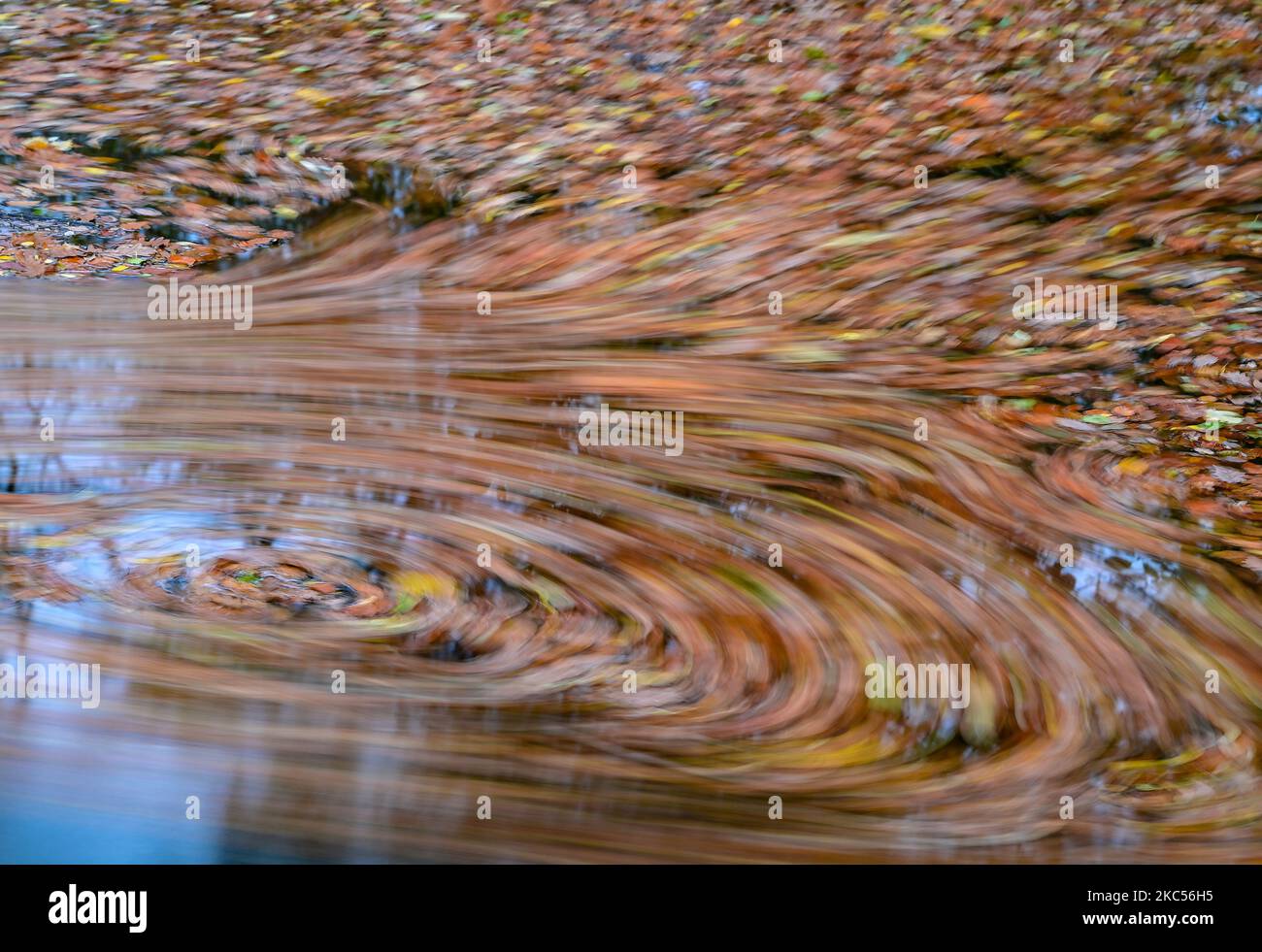 Siehdicum, Germania. 29th Ott 2022. Autunno nel parco naturale Schlaubetal. Una lunga esposizione di 30 secondi rivela il movimento delle foglie colorate sull'acqua della Schlaube. Il Parco Naturale di Schlubetal, fondato alla fine del 1995 nella regione dei laghi e della brughiera del Brandeburgo orientale, si estende su una superficie di 227 chilometri quadrati. La zona era essenzialmente modellata dall'ultima era glaciale. Più di due terzi del parco naturale sono coperti di foresta. Caratteristica dello Schlubetal è l'abbondanza di laghi e catene lacustri modellati dall'età del ghiaccio. Credit: Patrick Pleul/dpa/Alamy Live News Foto Stock