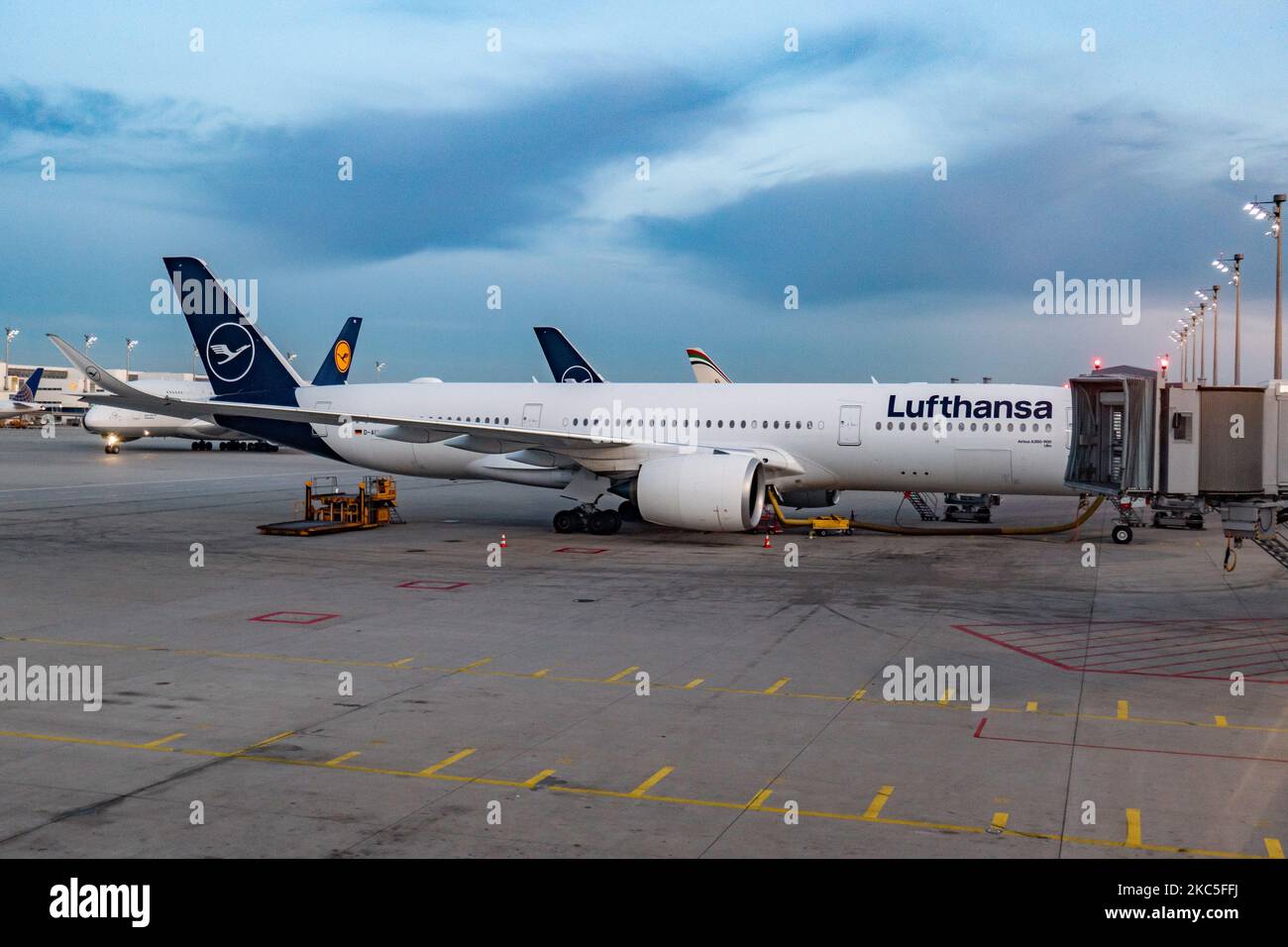 Lufthansa Airbus A350 come visto la mattina presto all'alba, all'alba e durante il giorno parcheggiato alle porte dell'aeroporto internazionale di Monaco EDDM MUC. Il moderno e avanzato velivolo da A359 o A350-900 passeggeri a scocca larga è dotato della targa D-AIXO, il nome Ulm, ed è alimentato da motori a reazione 2x RR. Deutsche Lufthansa AG DLH o LH è la più grande compagnia aerea in Germania, con base hub a Francoforte, Monaco e Berlino, ex vettore di bandiera tedesco e membro fondatore del gruppo aereo della Star Alliance. Il traffico mondiale di passeggeri è diminuito durante l'era di pandemia del coronavirus covid-19 con il Foto Stock