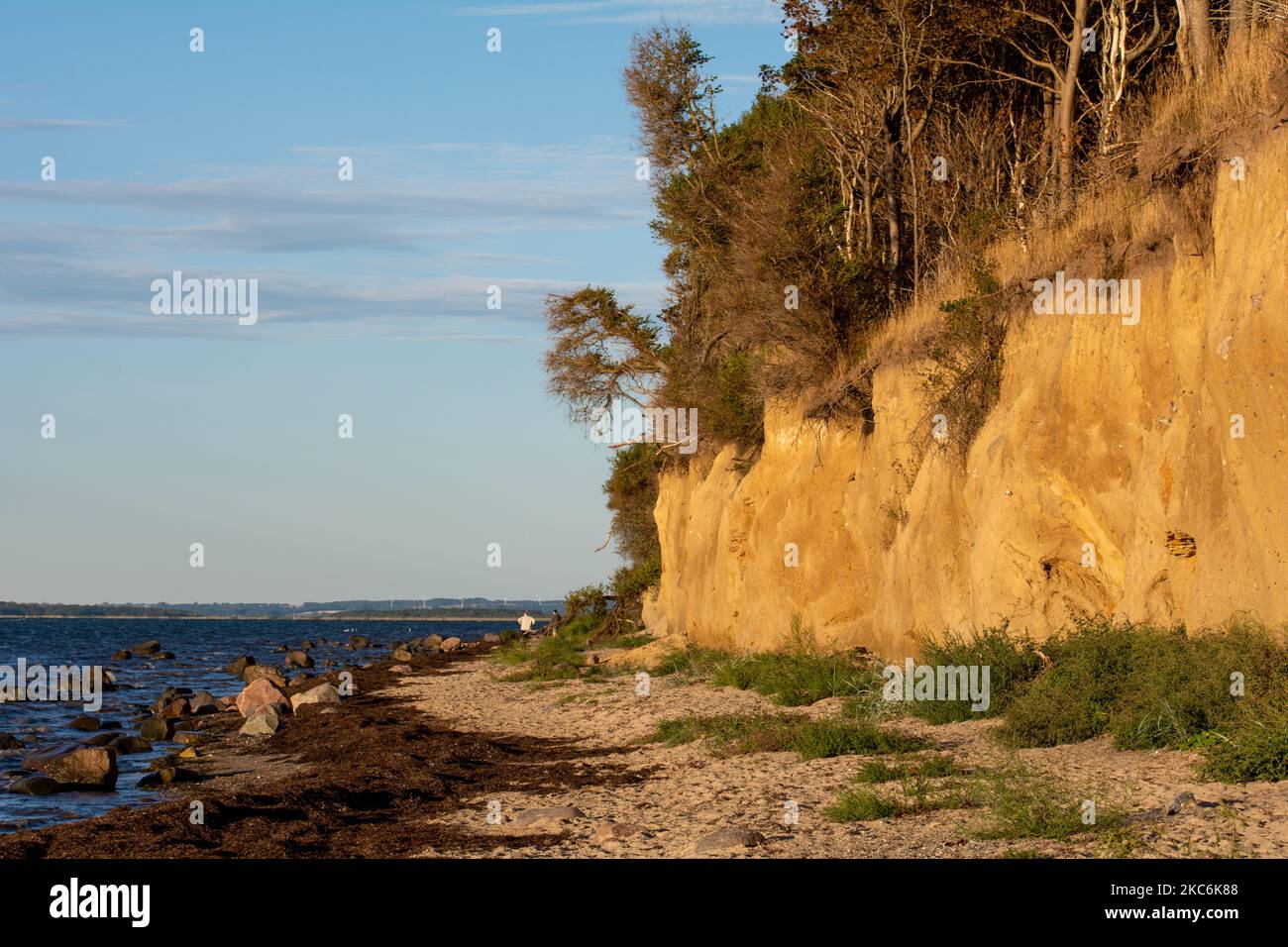 Ripida costa al cespuglio nero con mare e cielo blu, sull'isola di Poel sul Mar Baltico, Germania Foto Stock