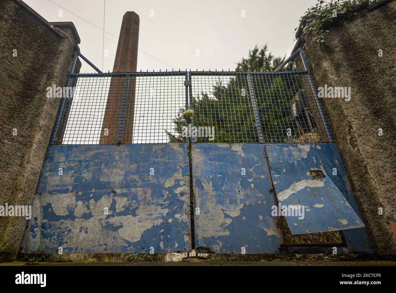 I fiori hanno lasciato all'entrata del cancello all'ex luogo delle sorelle della lavanderia di Magdalene di carità in Donnybrook, Dublino. La Commissione d'indagine Madre e Baby Homes, attesa da tempo, ha pubblicato oggi in Irlanda la relazione finale. Conferma che circa 9.000 bambini sono morti (tra il 1922 e il 1998) nelle 18 case oggetto di indagine – circa il 15% di tutti i bambini che erano nelle istituzioni. Martedì 12 gennaio 2021 a Dublino, Irlanda. (Foto di Artur Widak/NurPhoto) Foto Stock