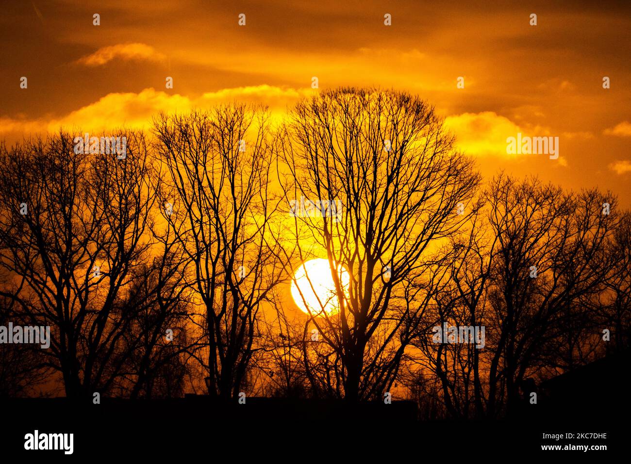 La vita quotidiana di prima mattina nei Paesi Bassi. L'alba invernale nella regione del Brabante settentrionale con il sole arancione brillante durante l'ora magica che forma un cielo colorato con alcune nuvole e silhouette di alberi, edifici, persone o uccelli di fronte ad esso. Le temperature subzero durante la notte formano un po' di gelo durante il gelo. Meerhoven - Eindhoven il 13 gennaio 2020 (Foto di Nicolas Economou/NurPhoto) Foto Stock