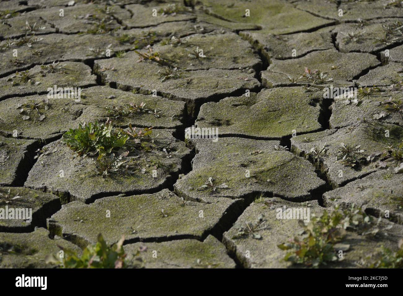 Kathmandu Metropolitan Dried Kamalpokhari stagno per la costruzione di strutture in cemento a Kathmandu, Nepal Venerdì, 15 gennaio 2021. Kamalpokhari stagno è asciugato per la costruzione di strutture in cemento intorno. Gli attivisti del patrimonio hanno messo in scena una protesta simbolica contro la costruzione di strutture concrete intorno al secolare stagno. (Foto di Narayan Maharjan/NurPhoto) Foto Stock