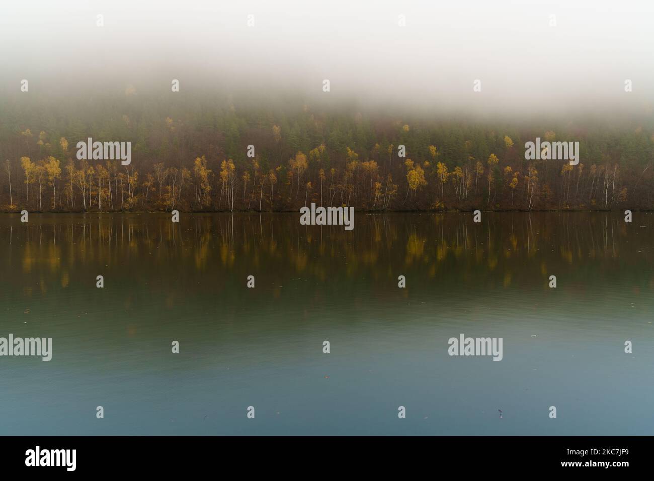 Ampio fiume VAG calmo acque autunnali con riflessi giallo e rosso foresta nebbiosa decidua vicino a Sutovo insediamento, Repubblica slovacca. Meteo Moody e tr Foto Stock