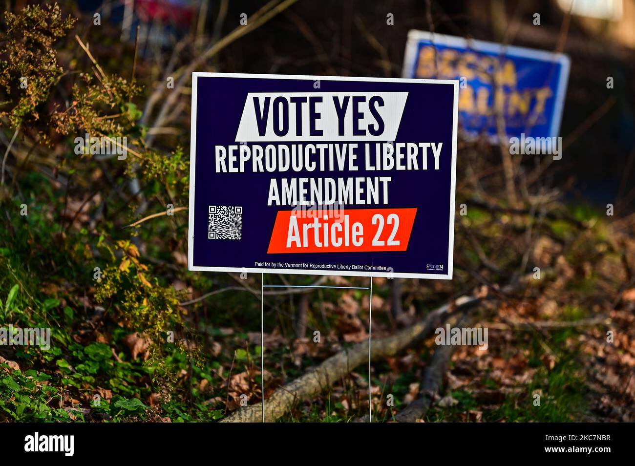 Manifestanti del Vermont a favore della modifica dei diritti riproduttivi alla costituzione dello Stato del Vermont, Montpelier, Vermont, New England, USA. Foto Stock