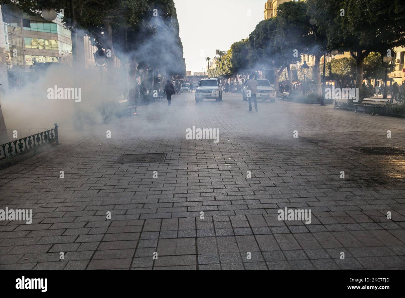 Gas lacrimogeno sparato dalle forze di sicurezza durante una manifestazione tenutasi su Avenue Habib Bourguiba, nella capitale Tunisi, in Tunisia, il 19 gennaio 2021, per protestare contro il governo del primo ministro Hichem Mechichi, E a sostegno dei movimenti di protesta che hanno colpito la Tunisia in diverse città durante la notte degli ultimi giorni. I manifestanti si scontrarono con le forze di sicurezza che spararono gas lacrimogeni e usarono spray al pepe nel tentativo di disperderli. Essi hanno anche sostenuto la liberazione di giovani arrestati dalla polizia durante le ultime proteste, e denunciato l'alto costo della vita e l'aumento della povertà Foto Stock