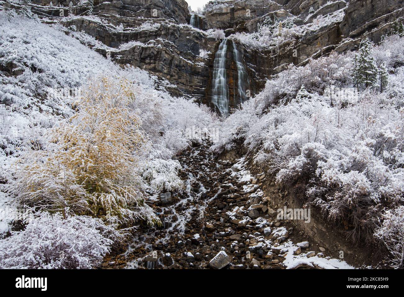 Bridal Veil Falls in inverno. Questa iconica cascata si trova a pochi chilometri a est di Provo, Utah, USA, nelle Wasatch Mountains. Foto Stock