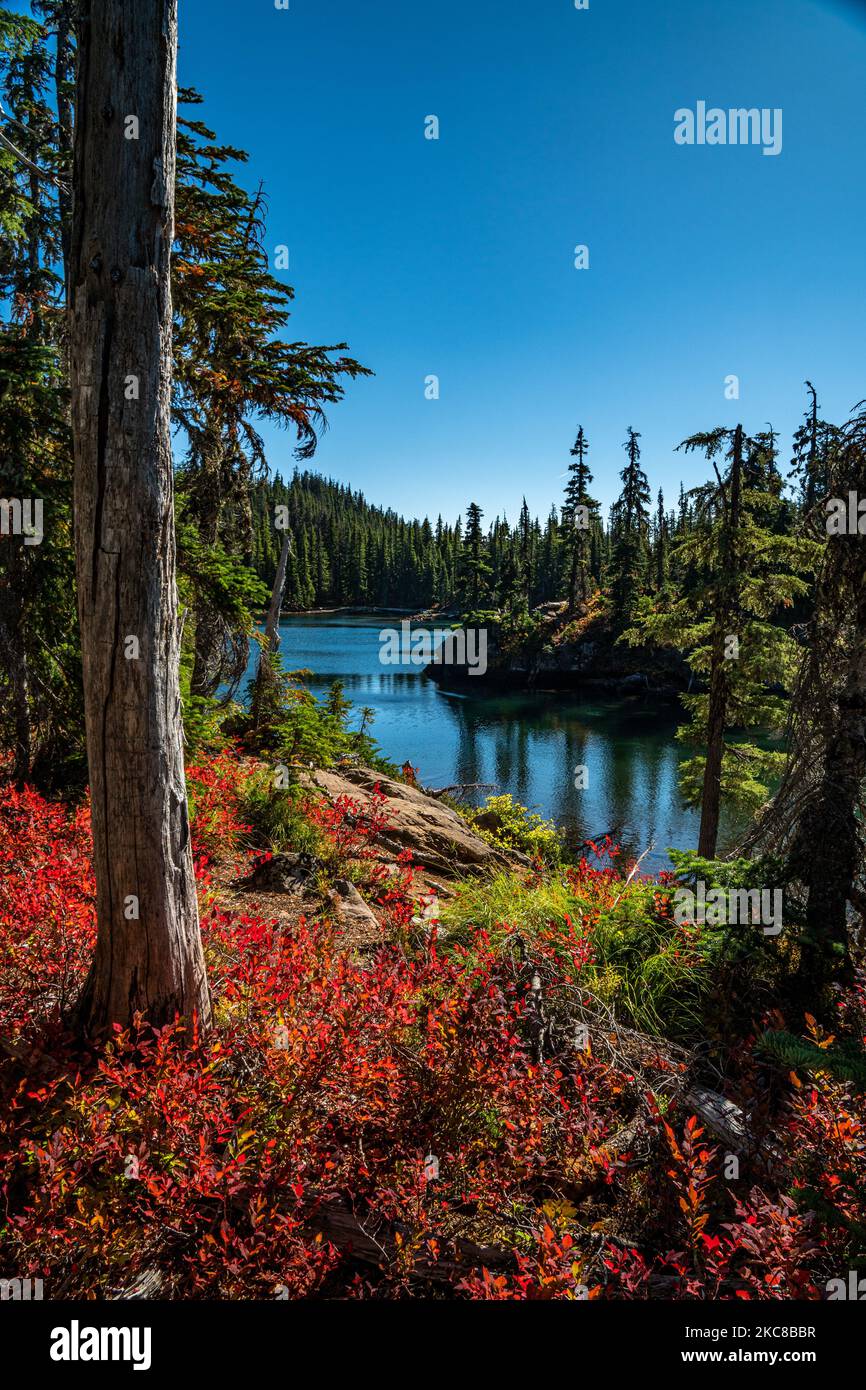 Il più grande dei laghi di tenas sul sentiero Scott Mountain Trail nella regione del monte Washington Wilderness dell'Oregon centrale. Foto Stock