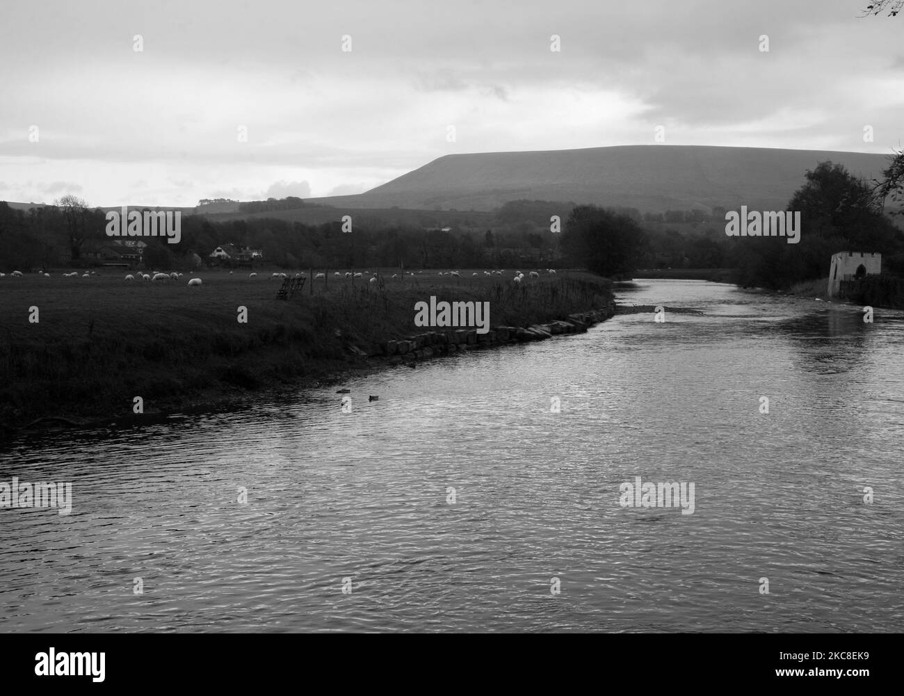 Una vista di Pendle Hill dalle rive del fiume Ribble a Sawley, Clitheroe, Lancashire, Regno Unito, Europa Foto Stock
