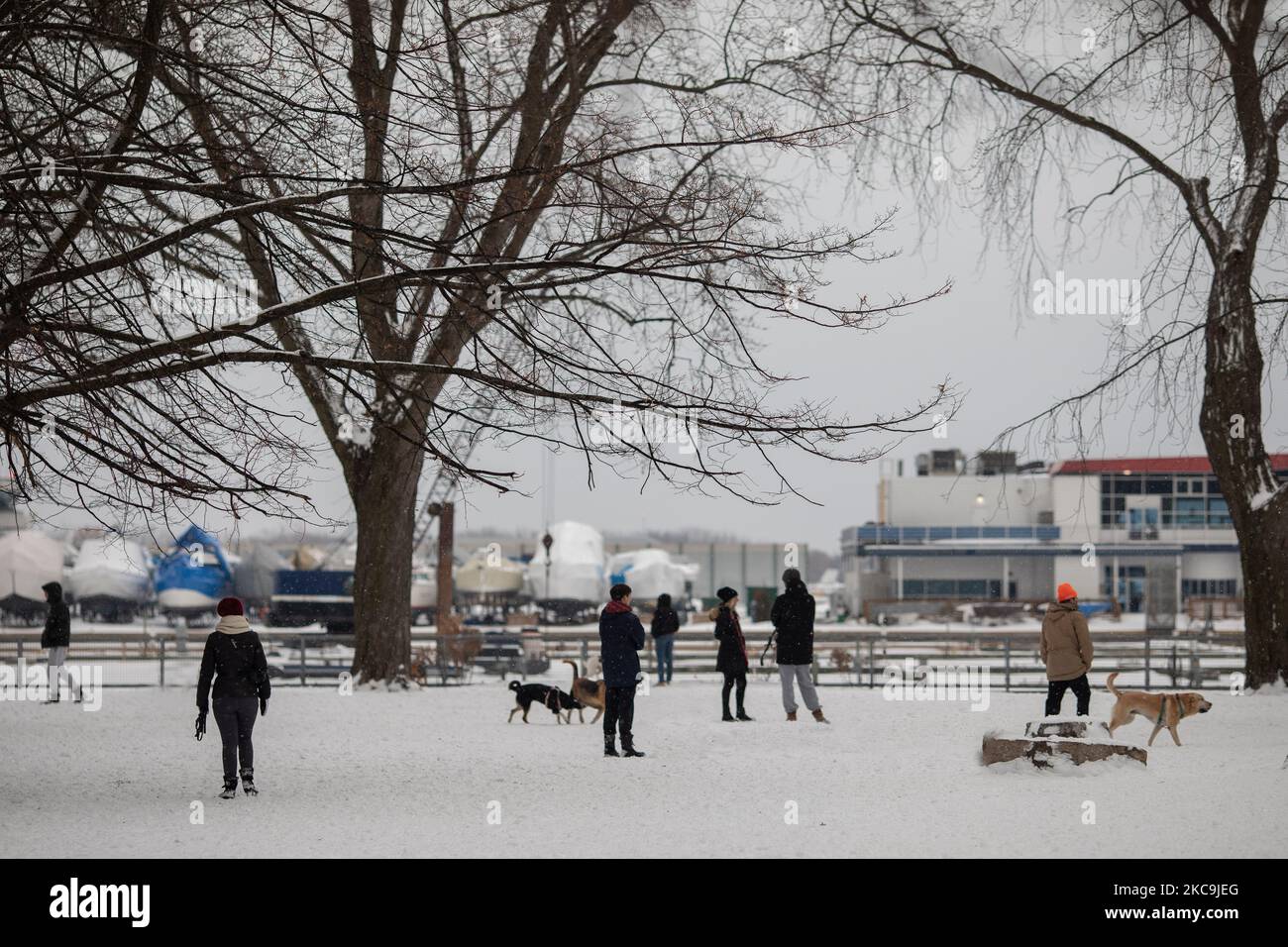 Le persone che si godono la neve vicino al lago ghiacciato al Coronation Park in mezzo alla pandemia di coronavirus il 19 febbraio 2021 a Toronto, Canada. (Foto di Sayed Najafizada/NurPhoto) Foto Stock