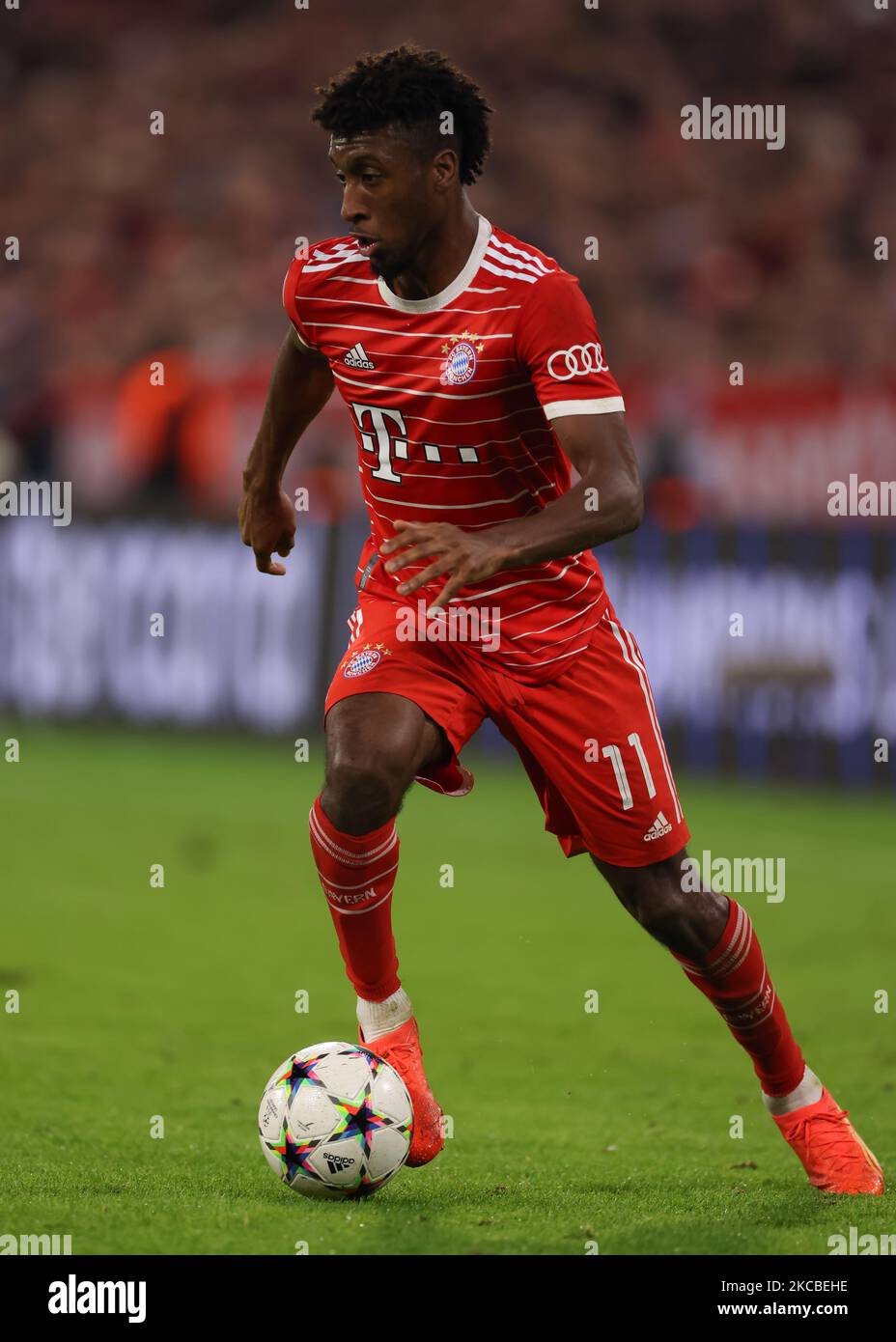 Monaco di Baviera, Germania, 1st novembre 2022. Kingsley Coman del Bayern Munchen durante la partita della UEFA Champions League all'Allianz Arena di Monaco. L'immagine di credito dovrebbe essere: Jonathan Moskrop / Sportimage Foto Stock