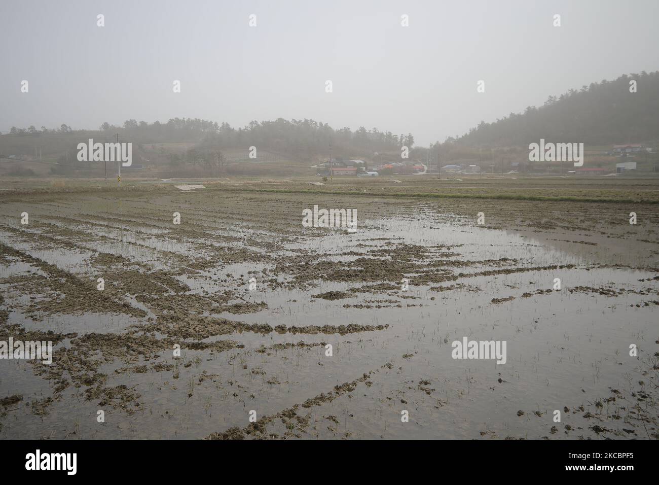 Un peggior villaggio di isole coperte da polvere gialla a Shinan-Gun, a sud-ovest di Seoul, Corea del Sud. Lunedì, una tempesta di polvere gialla straordinariamente forte, originata dai deserti interni della Cina settentrionale e della Mongolia, ha annientato tutta la Corea del Sud, inducendo le autorità a emettere un avvertimento giallo per Seul e quasi tutte le parti del paese per la prima volta in un decennio. (Foto di Seung-il Ryu/NurPhoto) Foto Stock