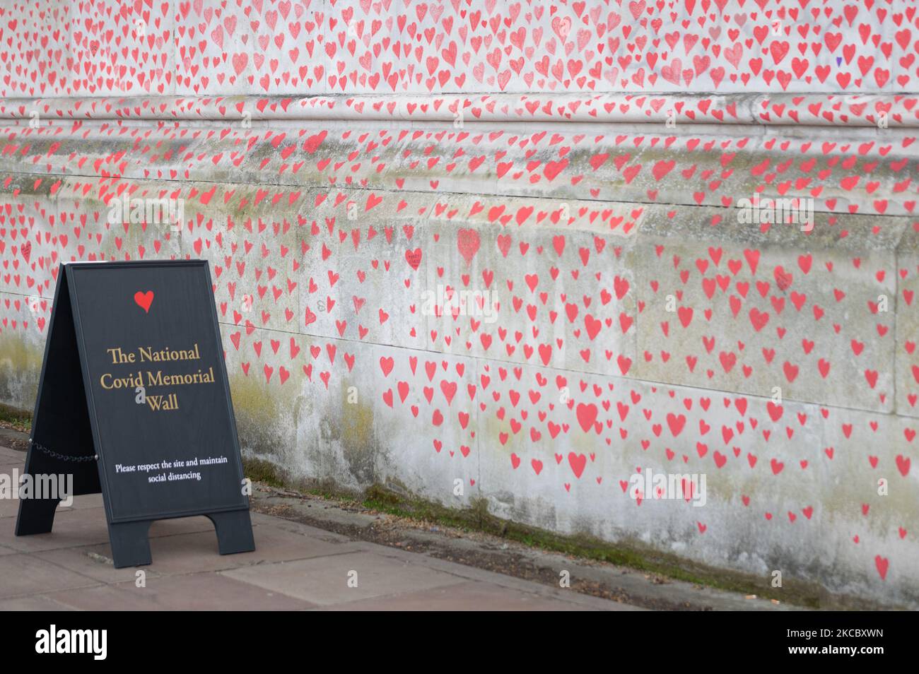 Red Hearts visto sul National Covid Memorial Wall a Londra, Regno Unito il 1 aprile 2021. I cuori rossi saranno dipinti da volontari per le vittime nel Regno Unito sulla parete al di fuori del St Thomas' Hospital, di fronte al Parlamento. (Foto di Robin Pope/NurPhoto) Foto Stock