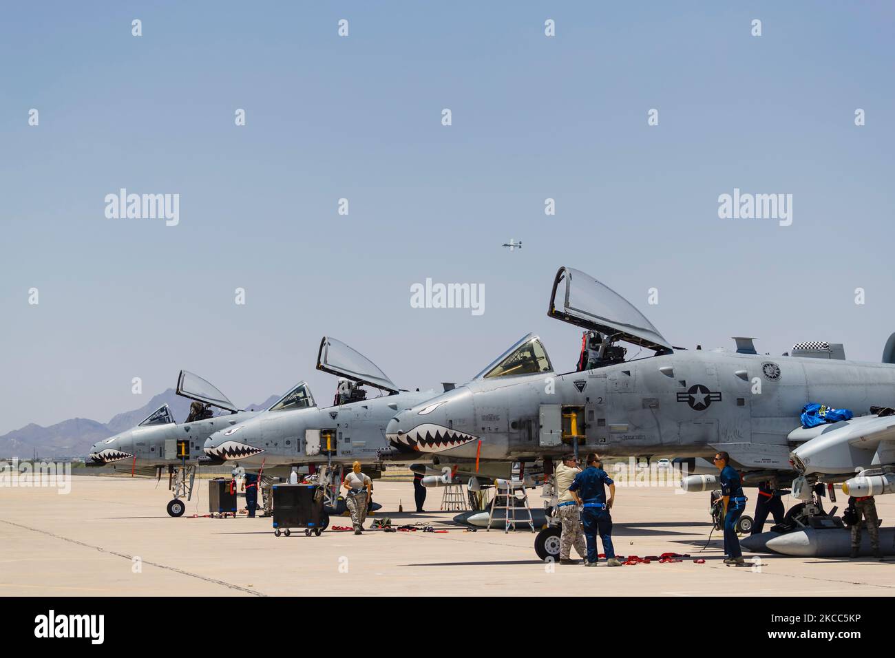 Velivolo Thunderbolt II dell'aeronautica militare statunitense A-10 presso la base dell'aeronautica militare Davis-Monthan. Foto Stock