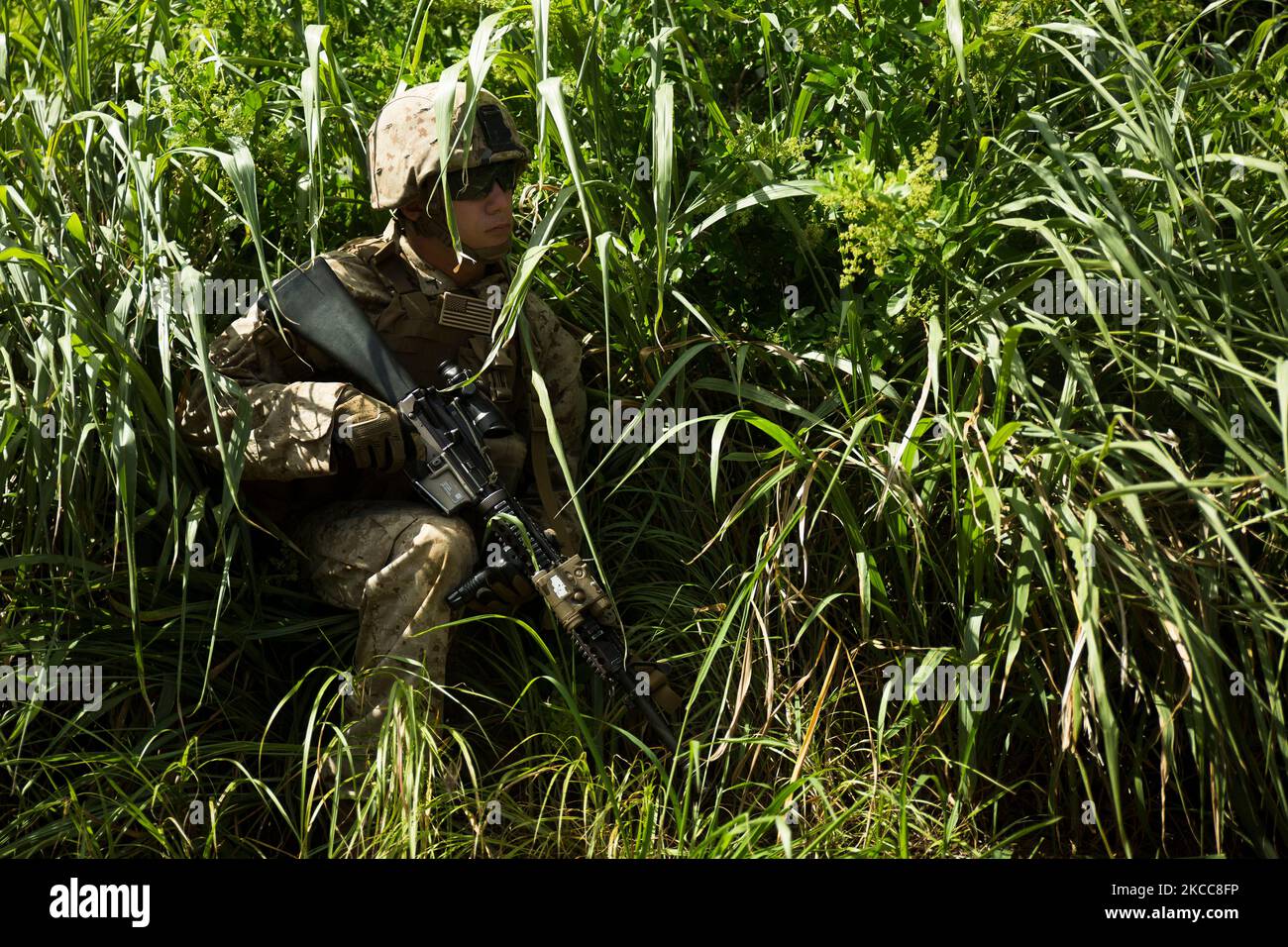 Un Marine degli Stati Uniti si ferma nell'erba durante un raid simulato. Foto Stock