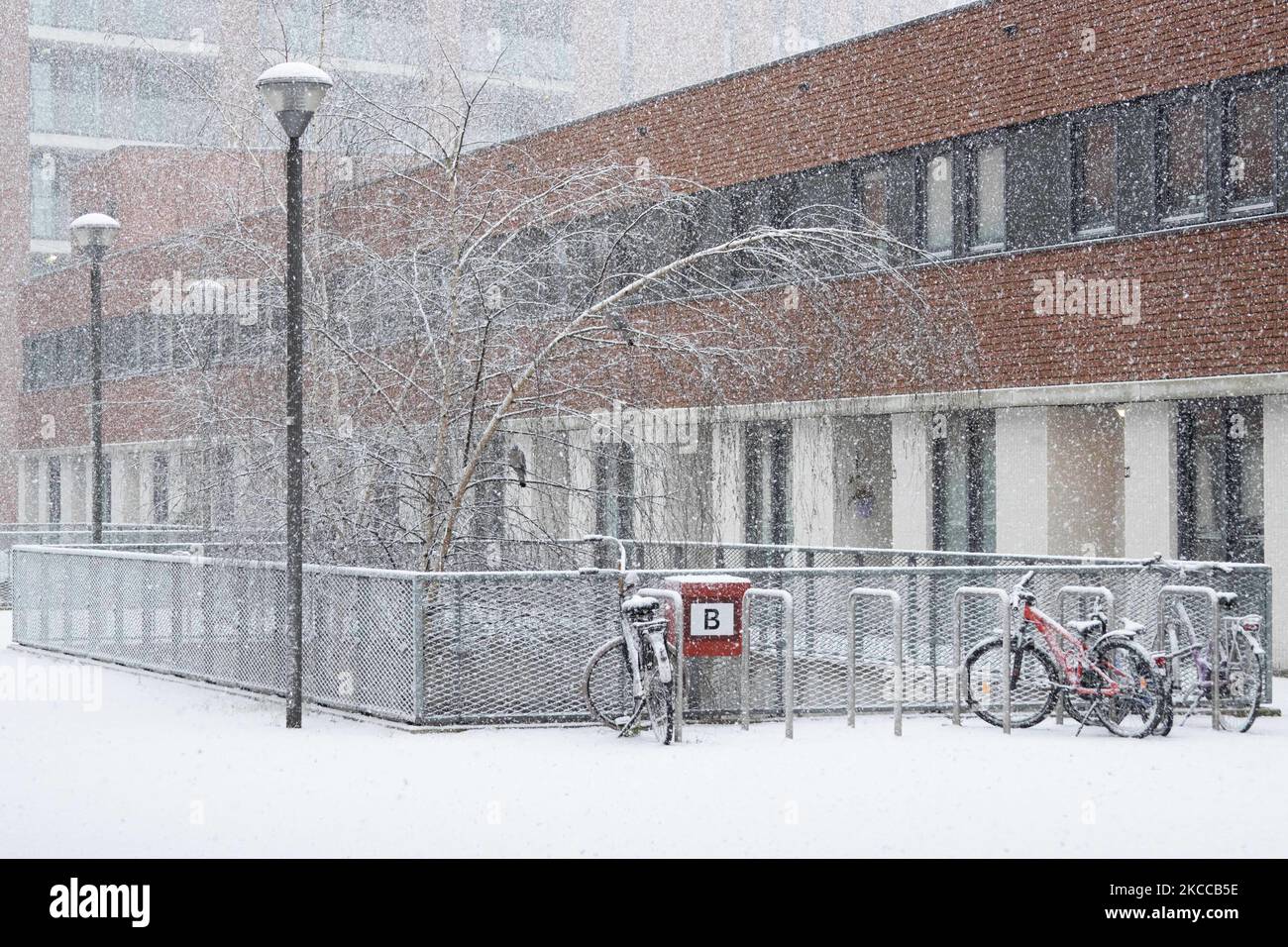 I Paesi Bassi si svegliano innevati dopo un'intensa nevicata mattutina, un evento di bizzarro per aprile. Il secondo giorno di basse temperature e nevicate nei Paesi Bassi dopo il lunedì di Pasqua Bianca con un significativo calo di temperatura, raggiungendo il punto di congelamento secondo l'agenzia meteorologica olandese KNMI rendendo il lunedì di Pasqua uno dei giorni più freddi mai registrati con basse temperature. Oltre alla neve, grandine e alta velocità forte vento ghiacciato si è verificato. Il KNMI ha emesso un codice giallo avvertimento meteo per Lunedi sera, dicendo che ci saranno forti venti e condizioni scivolose sul Foto Stock