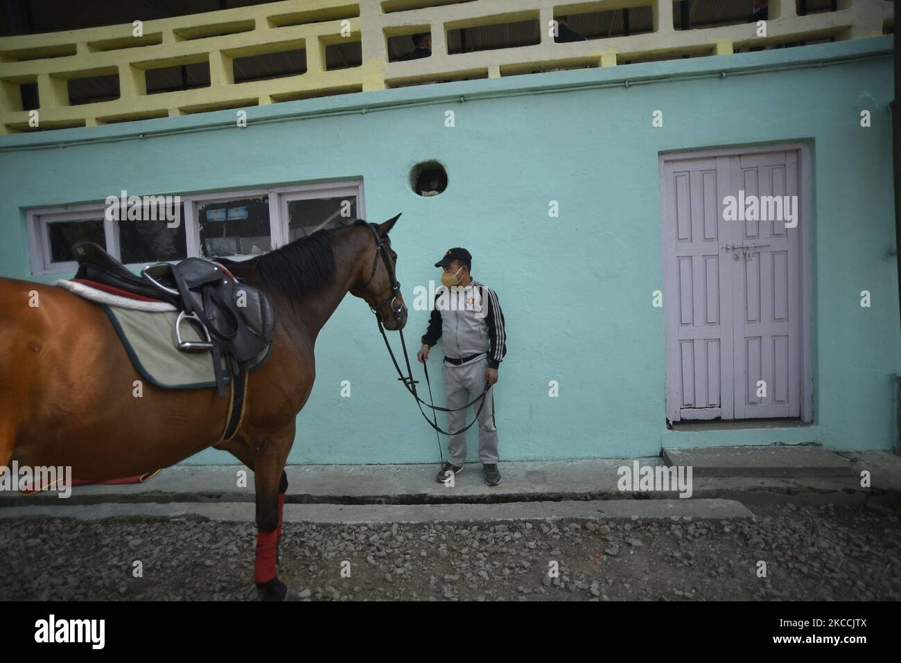 Un cavallo addestrato dell'esercito nepalese decorato arriva per partecipare a Ghode Jatra o al 'Festival del Cavallo' celebrato al Padiglione dell'esercito, Kathmandu, Nepal Domenica 11 Aprile 2021. Ghode Jatra, che significa sfilata di cavalli è organizzata ogni anno presso il Padiglione dell'Esercito, Tundikhel. Si dice che Ghode Jatra sia stato organizzato per celebrare la vittoria su un demone chiamato Tundi che risiede sul campo noto come Tundikhel. (Foto di Narayan Maharjan/NurPhoto) Foto Stock